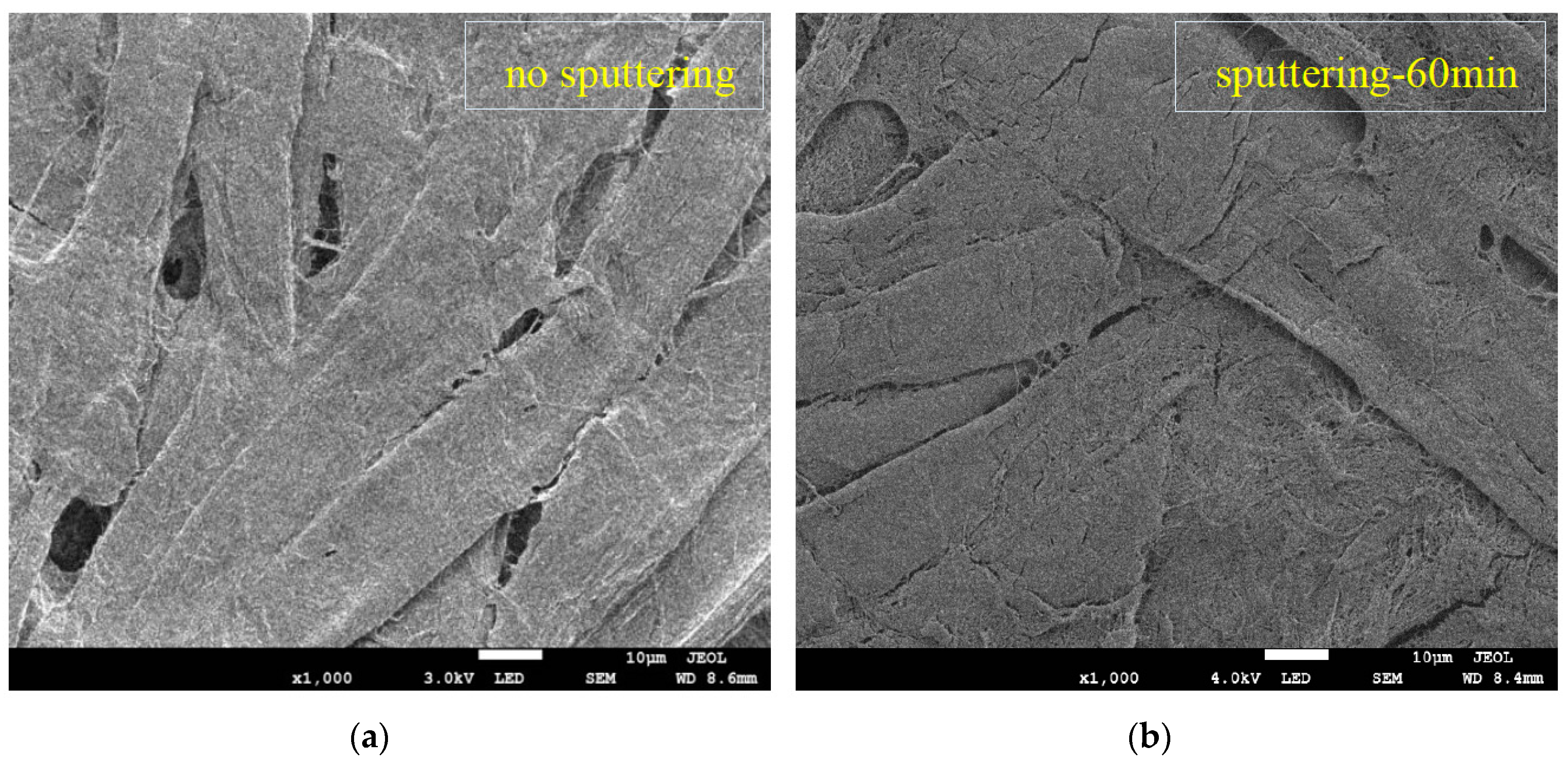 Polymers 09 00502 g003a
