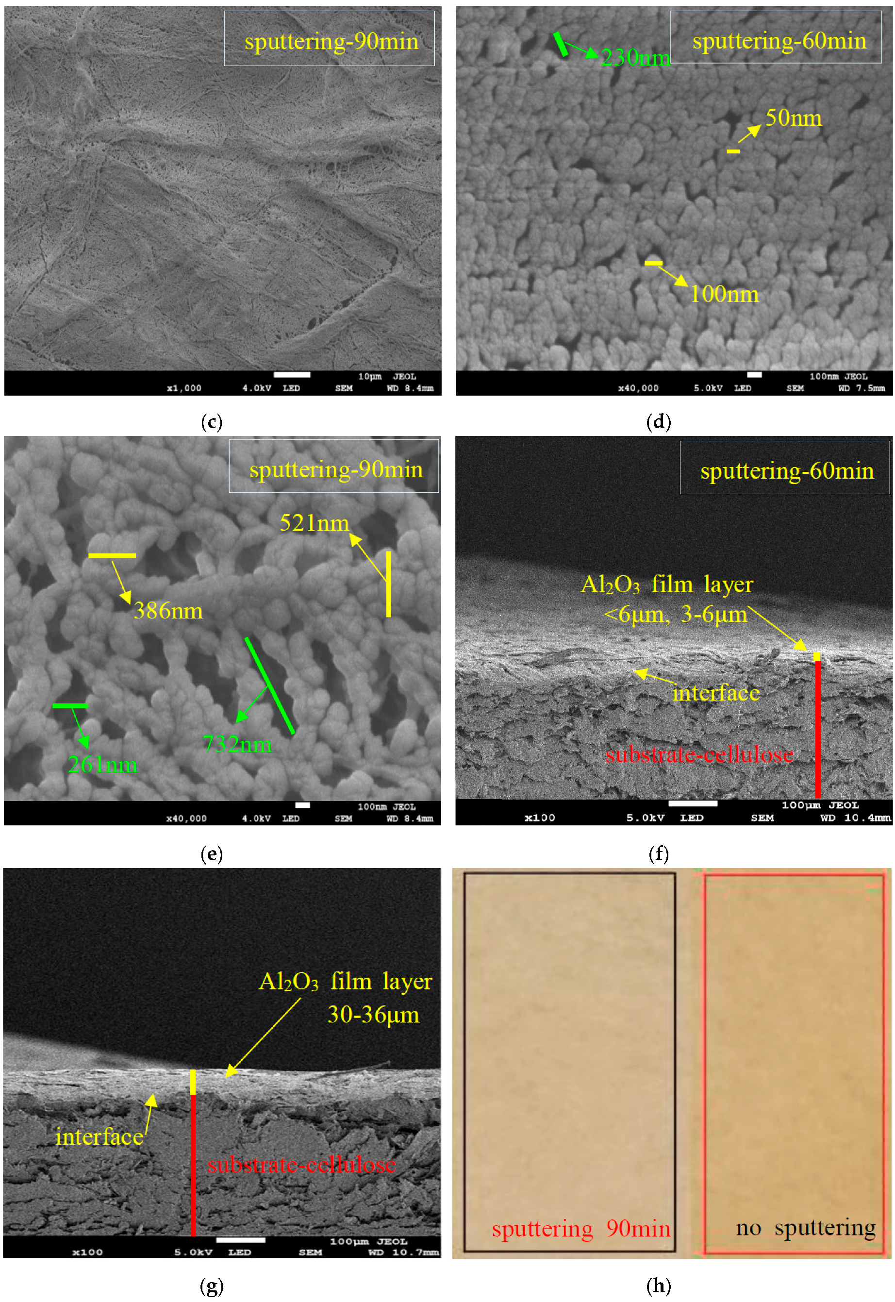 Polymers 09 00502 g003b