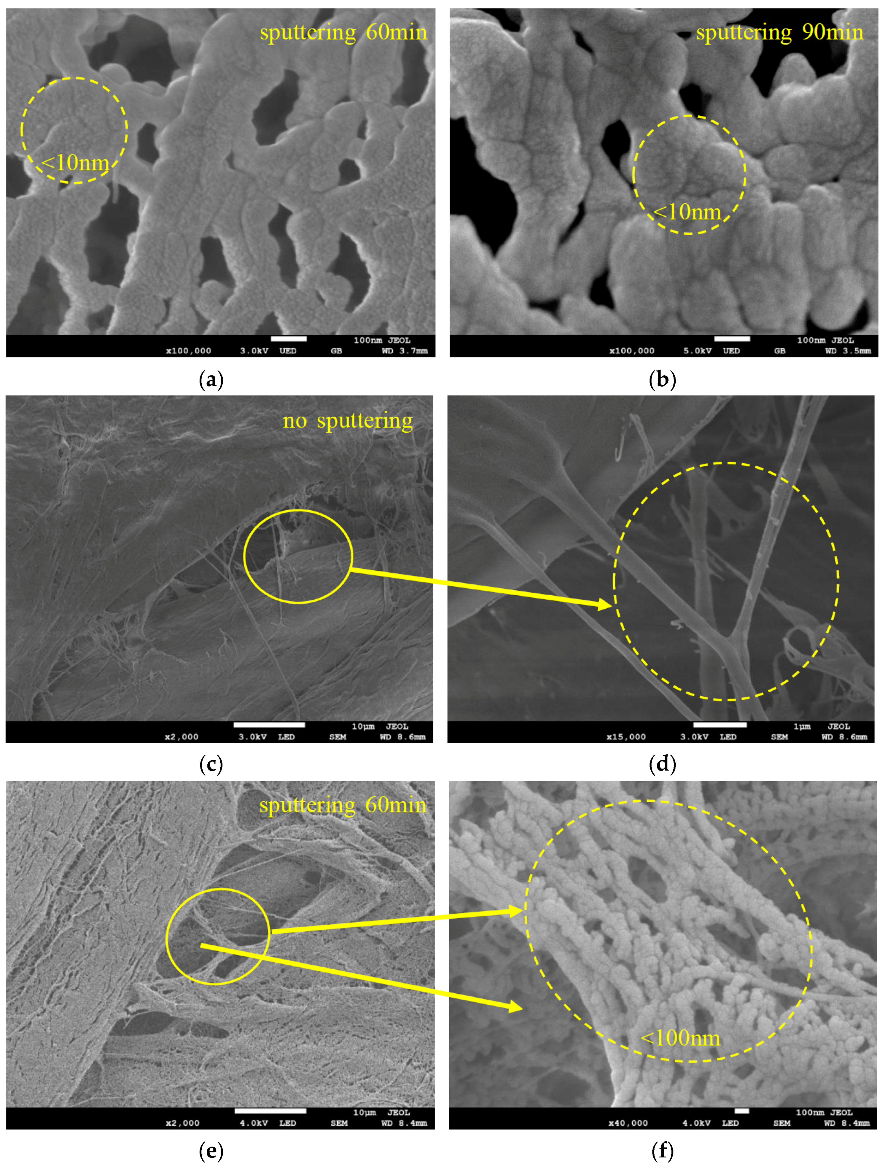 Polymers 09 00502 g012