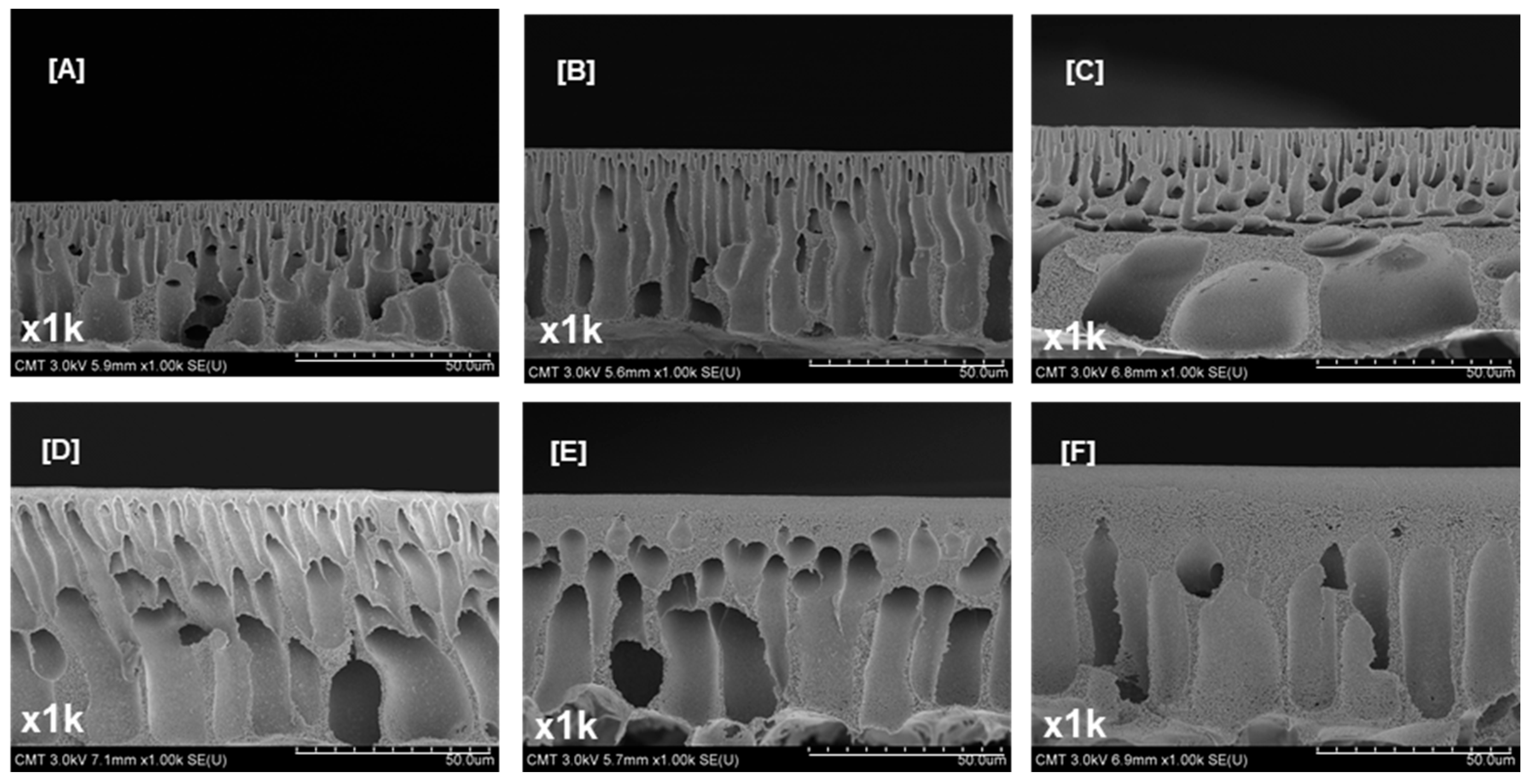 Polymers 09 00505 g003 Polymers 09 00505 g003