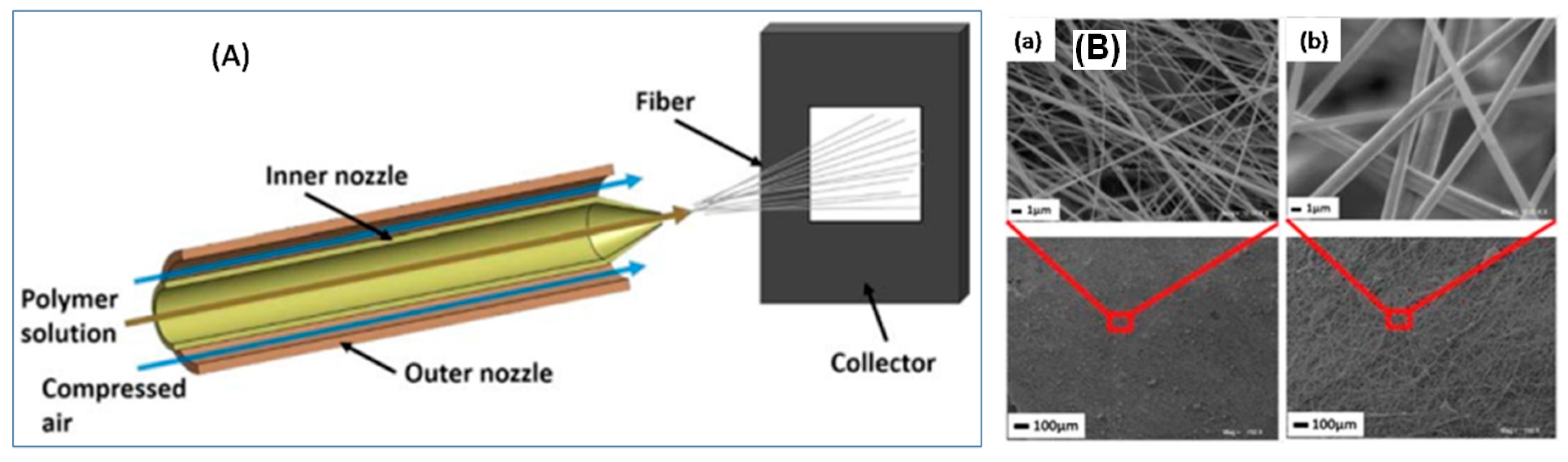 Polymers 09 00506 g004