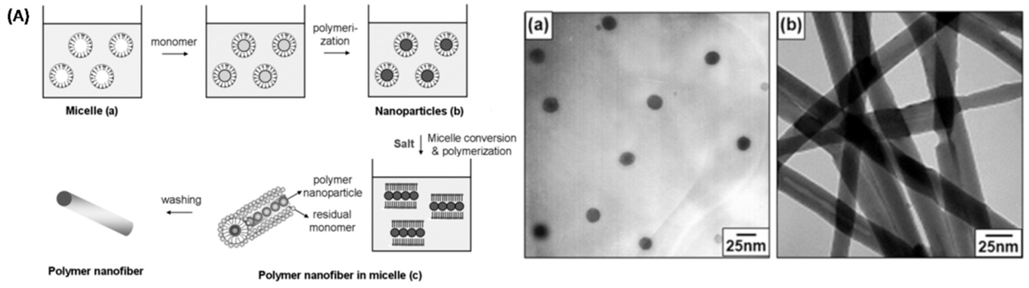 Polymers 09 00506 g010