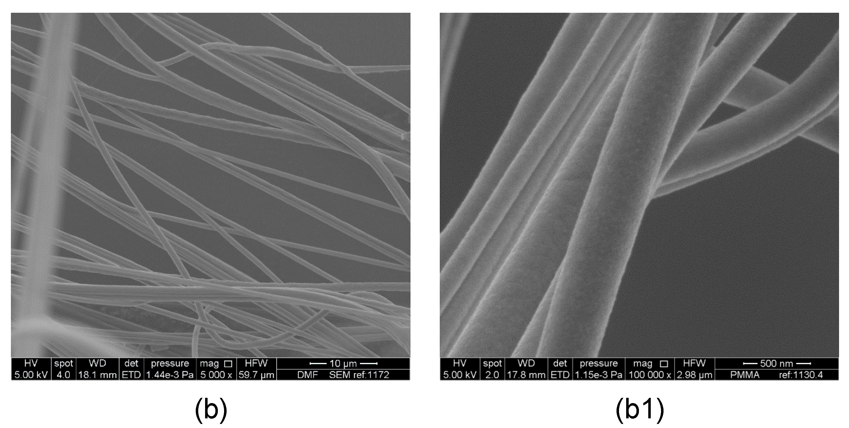 Polymers 09 00508 g003b