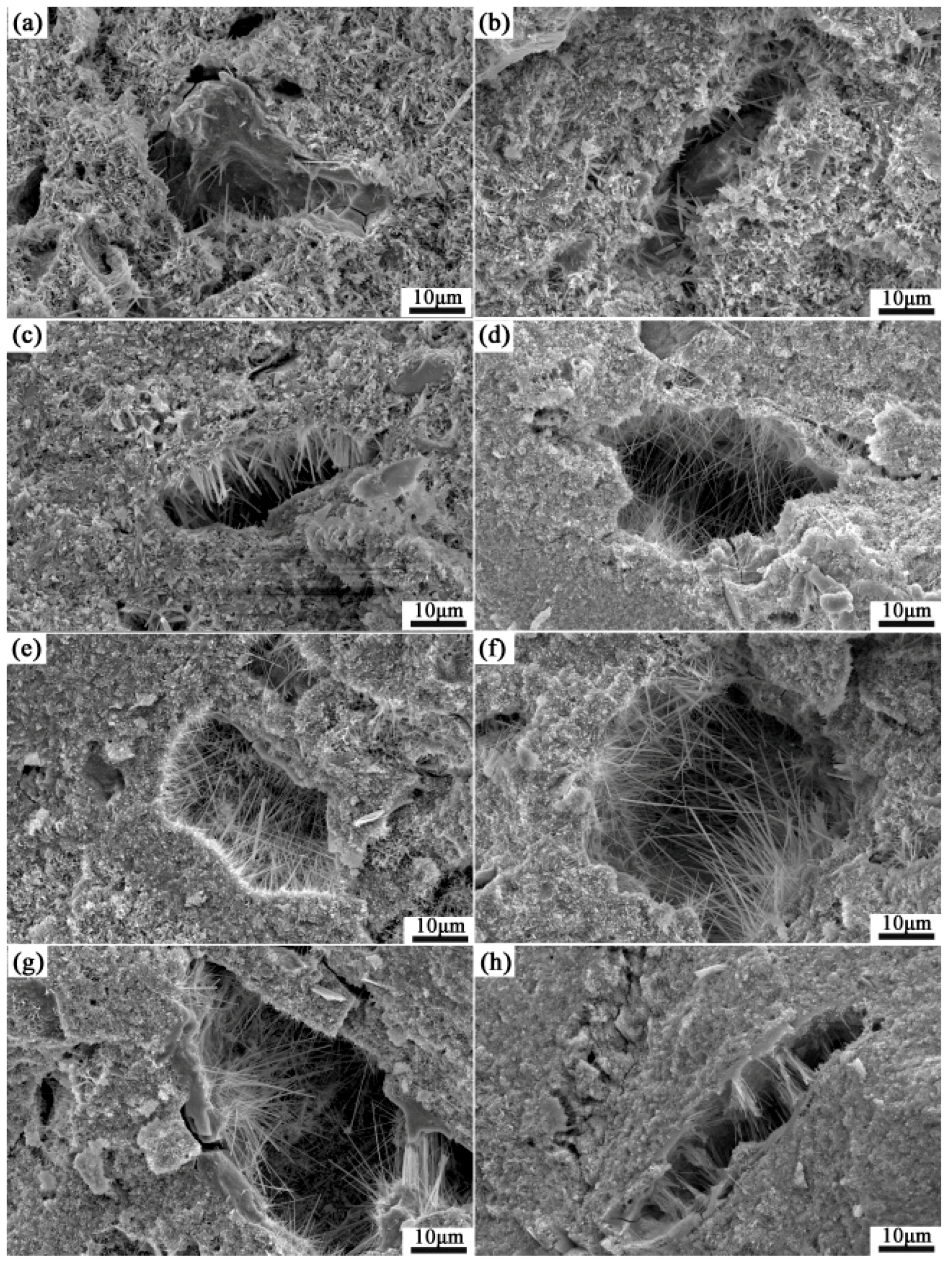 Polymers 09 00513 g003