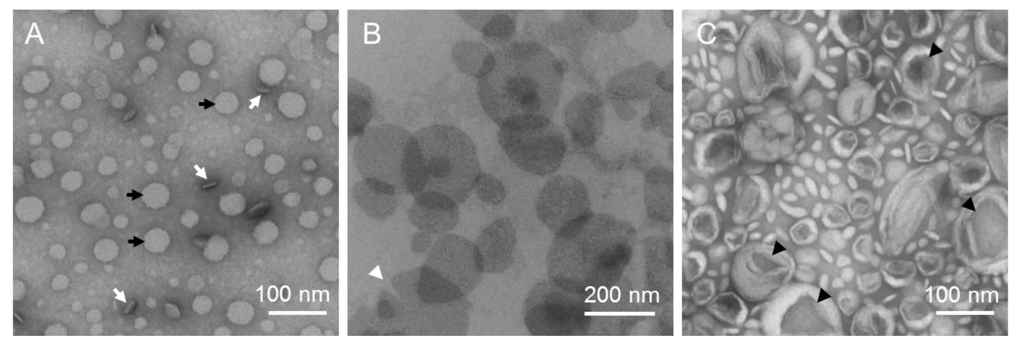 Polymers 09 00521 g002