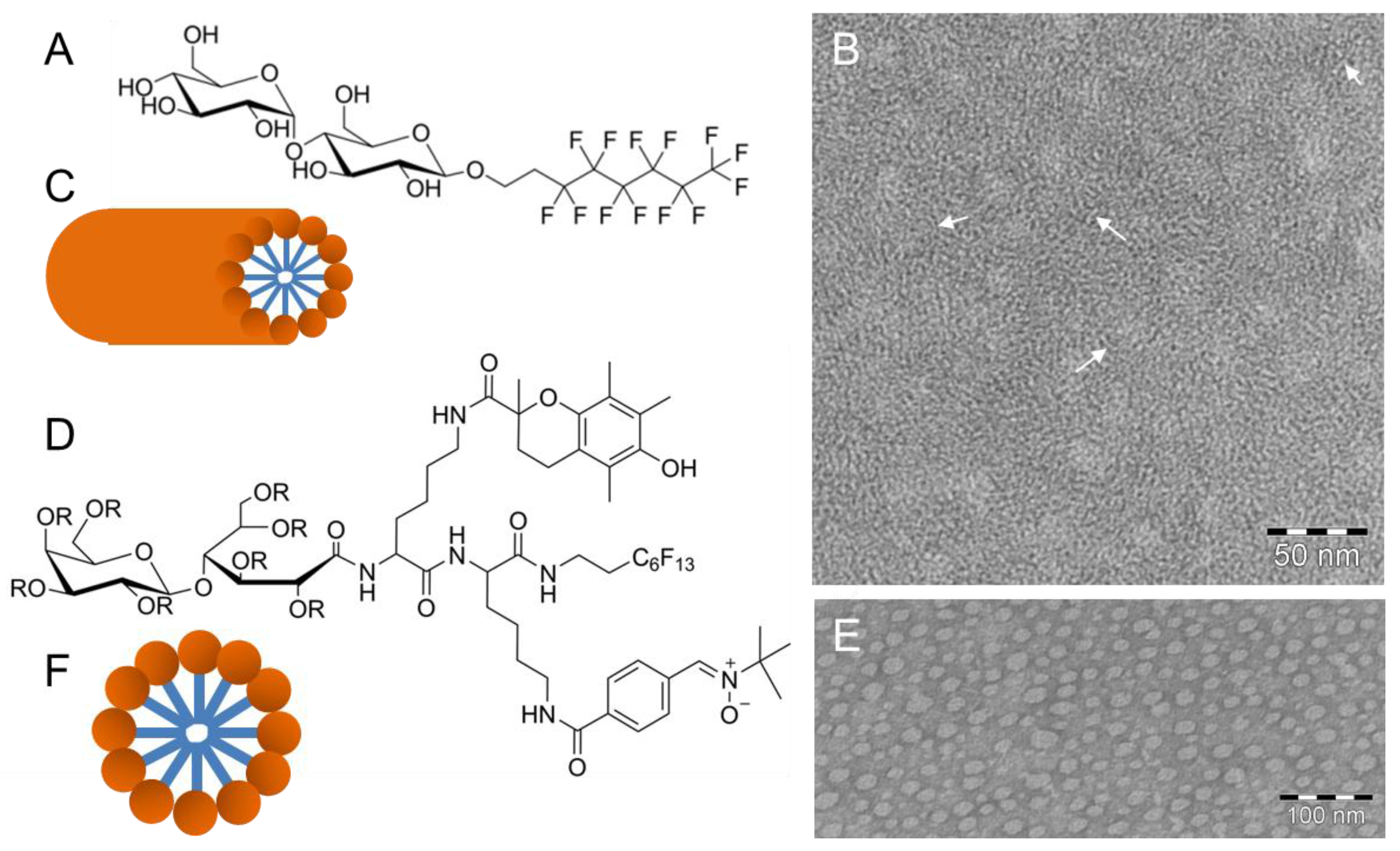 Polymers 09 00521 g005