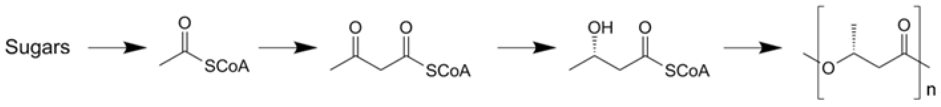 Polymers 09 00523 g002 Polymers 09 00523 g002