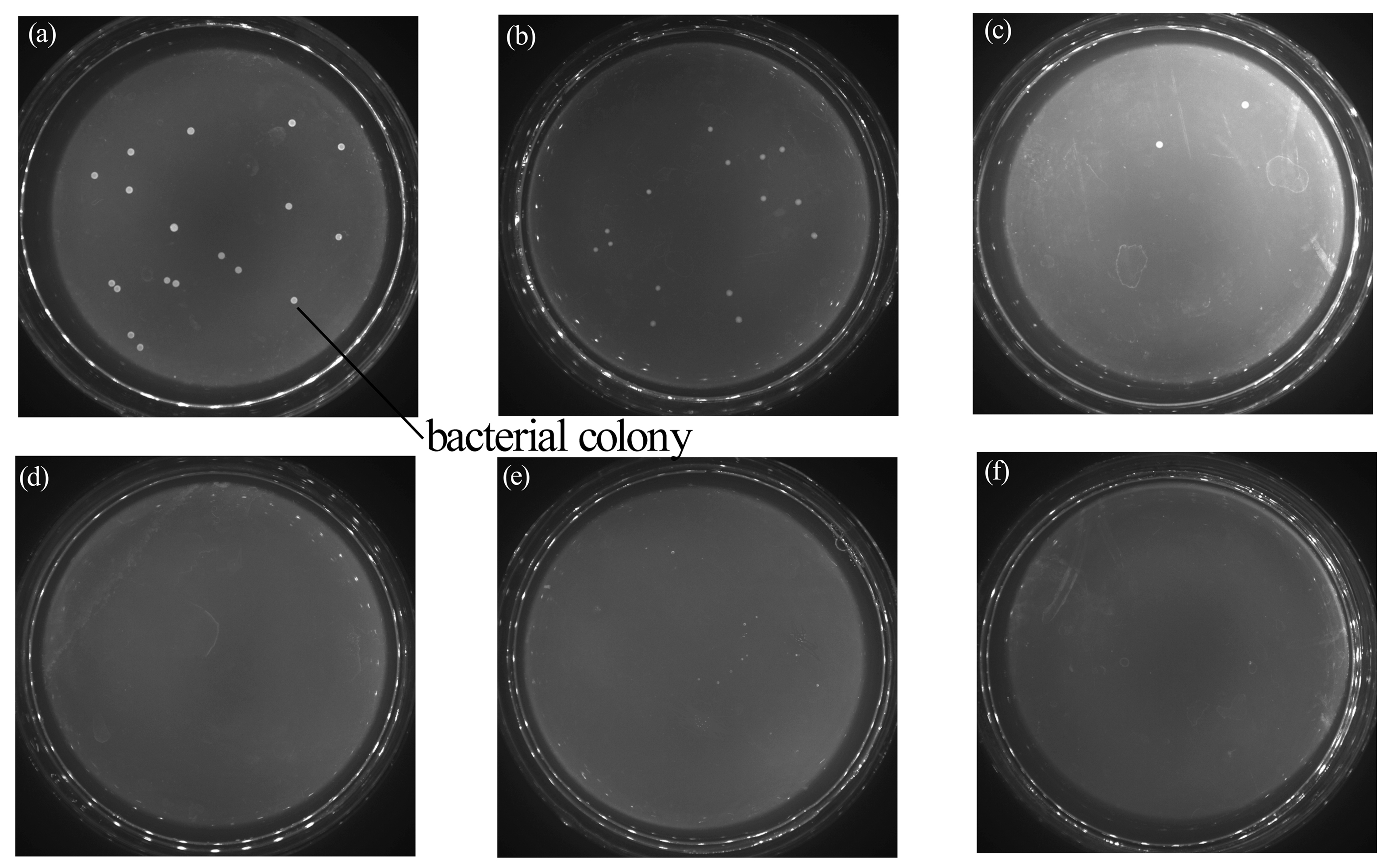 Polymers 09 00524 g006 550
