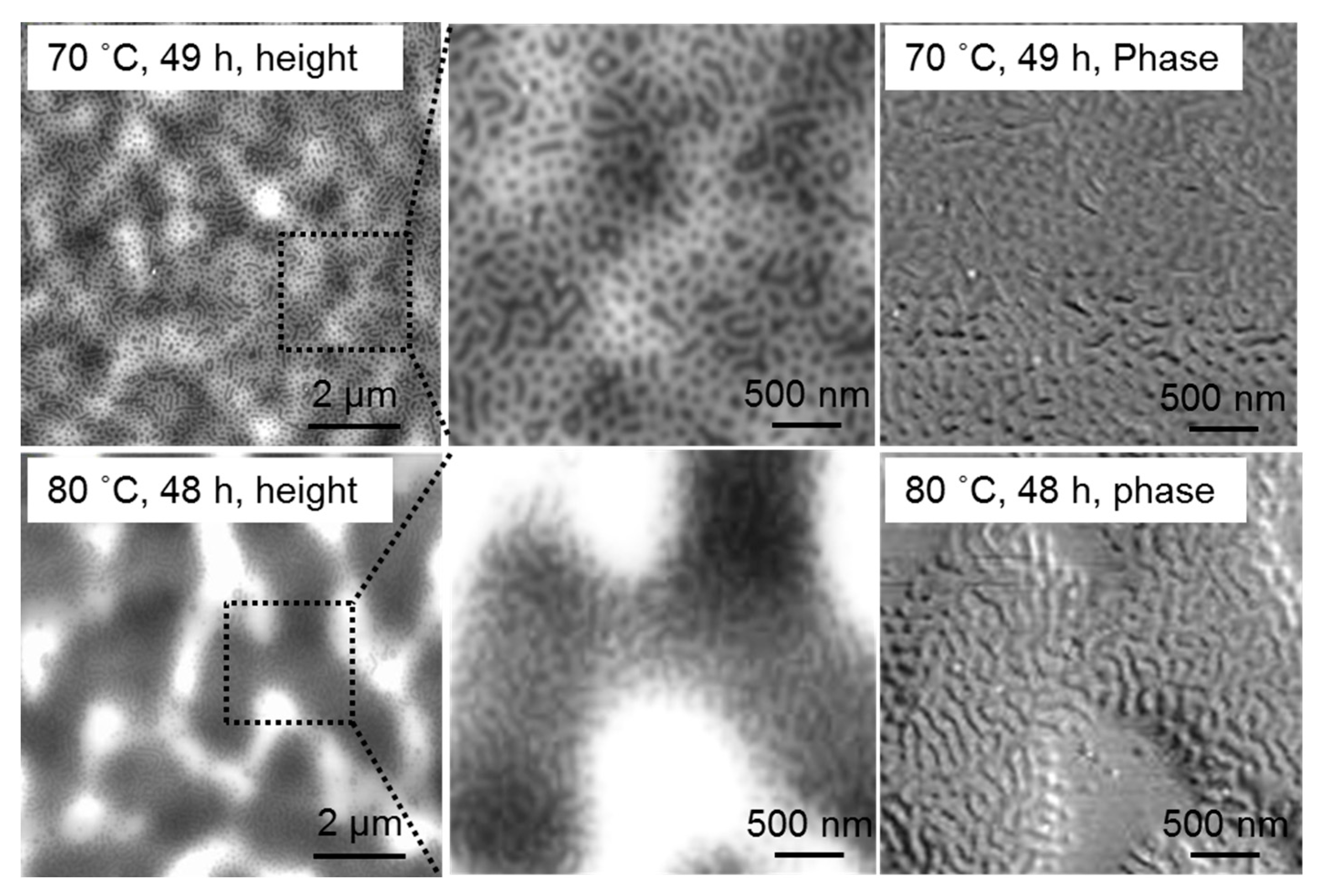 Polymers 09 00525 g007