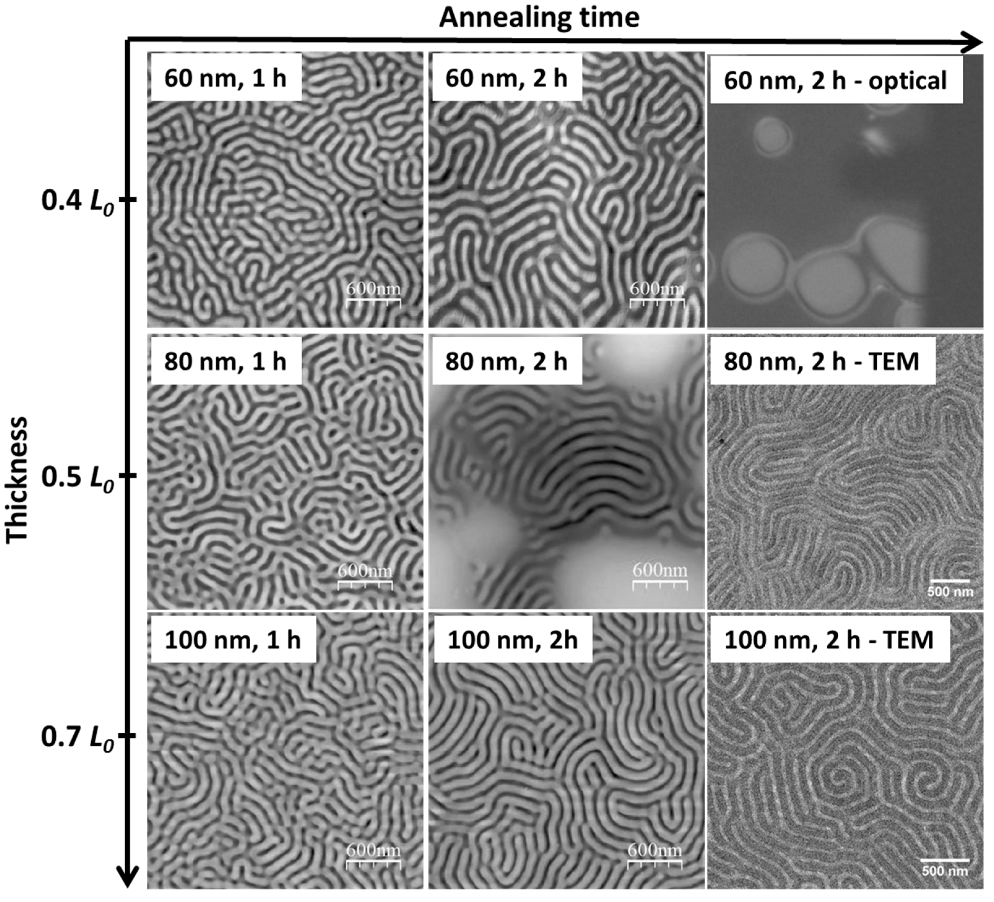 Polymers 09 00525 g008