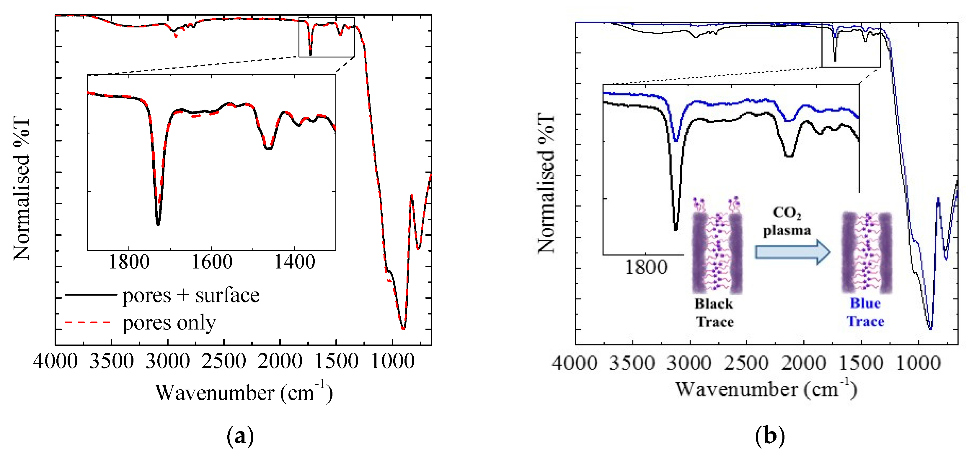Polymers 09 00539 g003 550