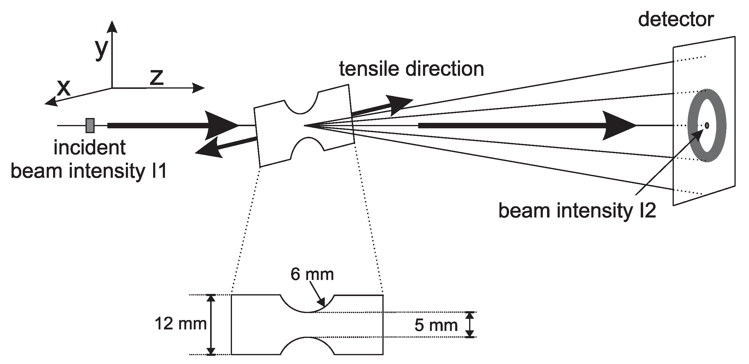Polymers 09 00547 g003