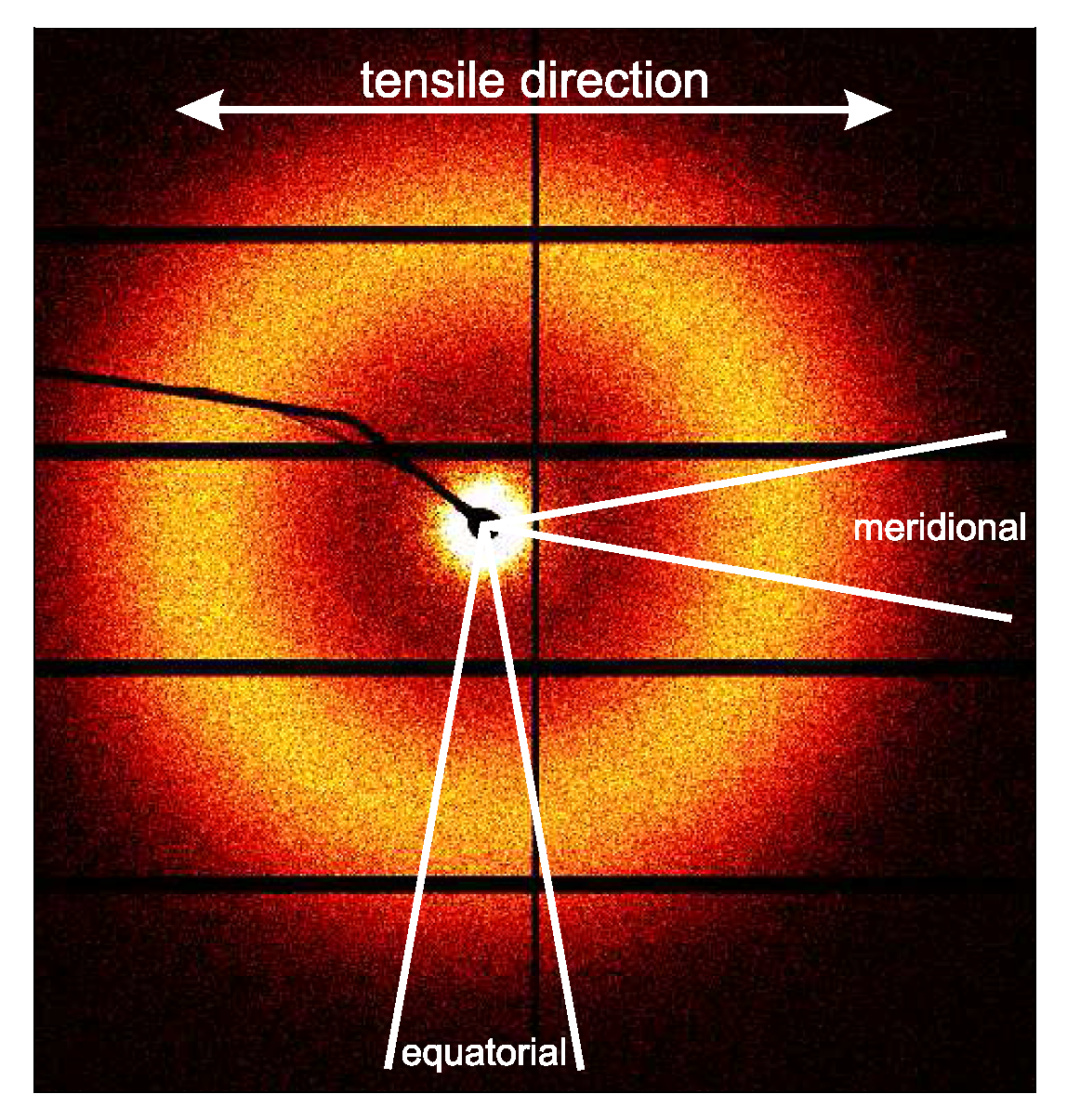 Polymers 09 00547 g006