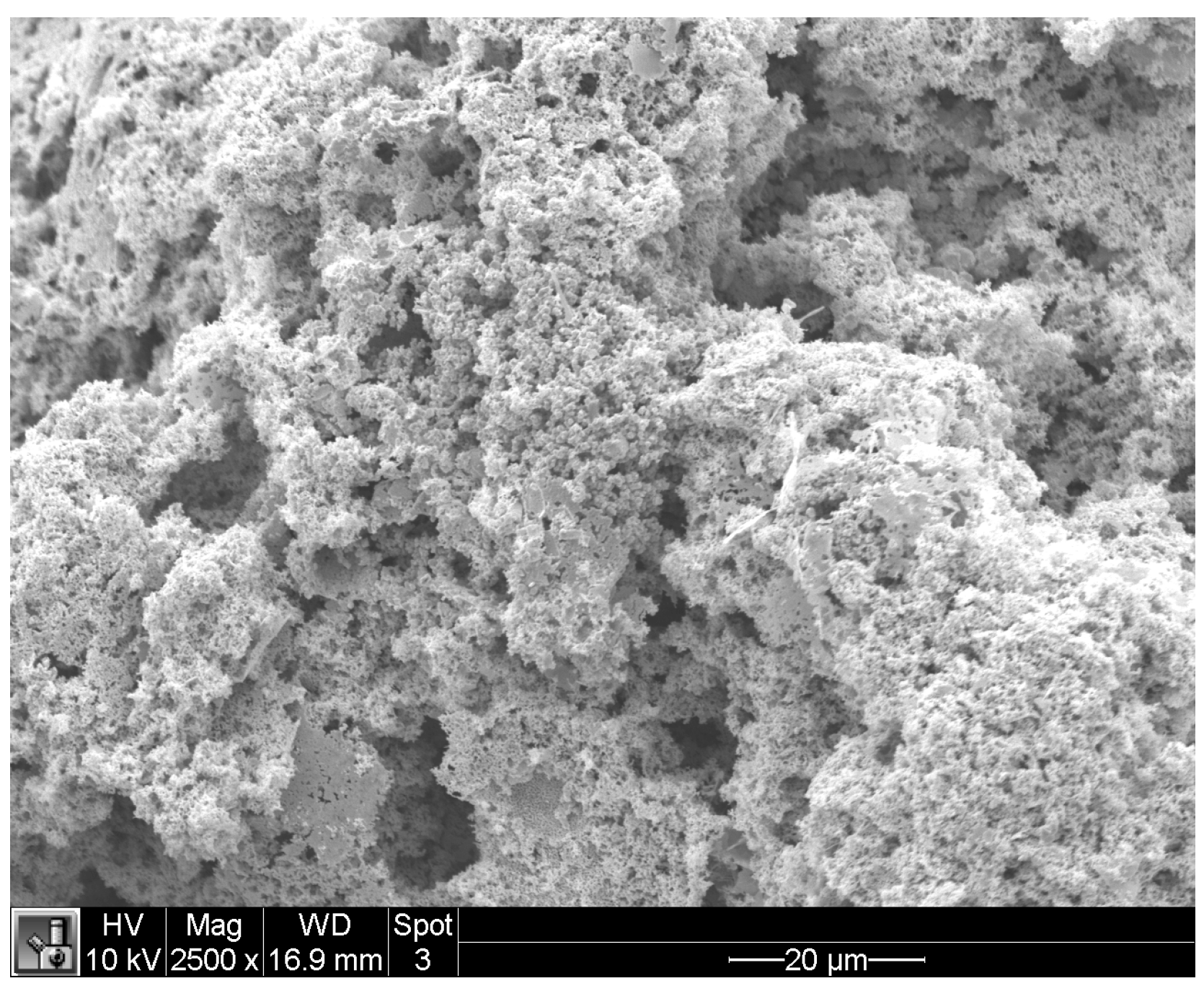 Polymers 09 00560 g001 Polymers 09 00560 g001