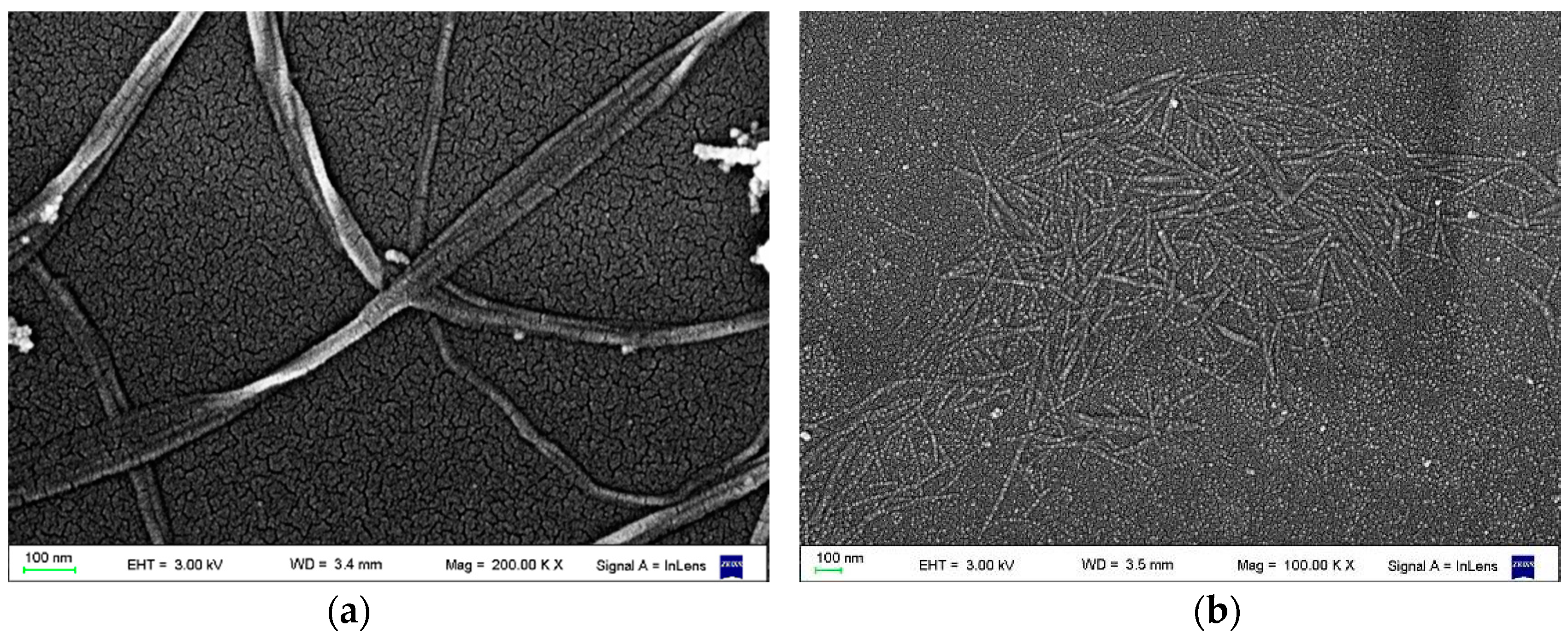 Polymers 09 00561 g001 550