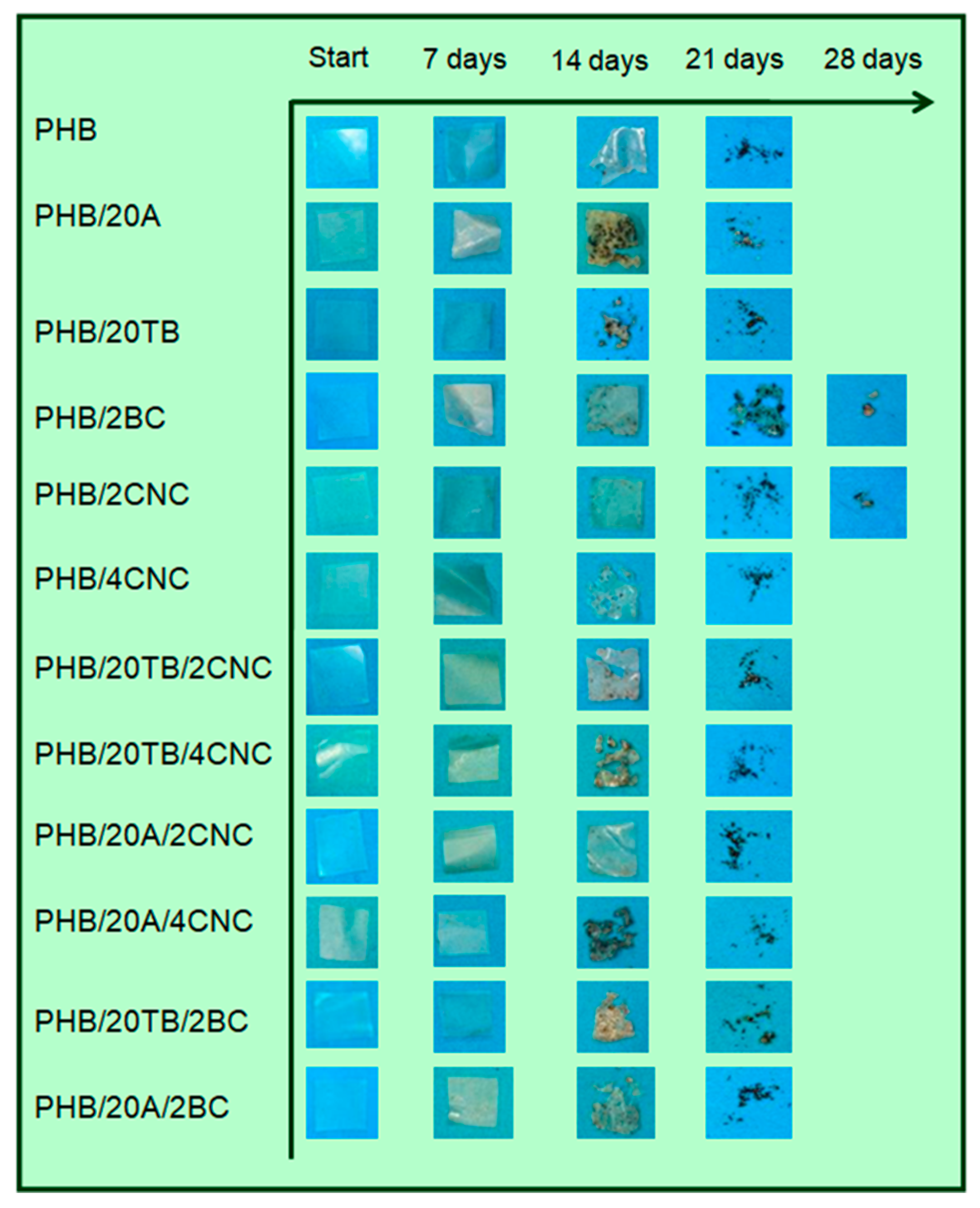Polymers 09 00561 g008 550