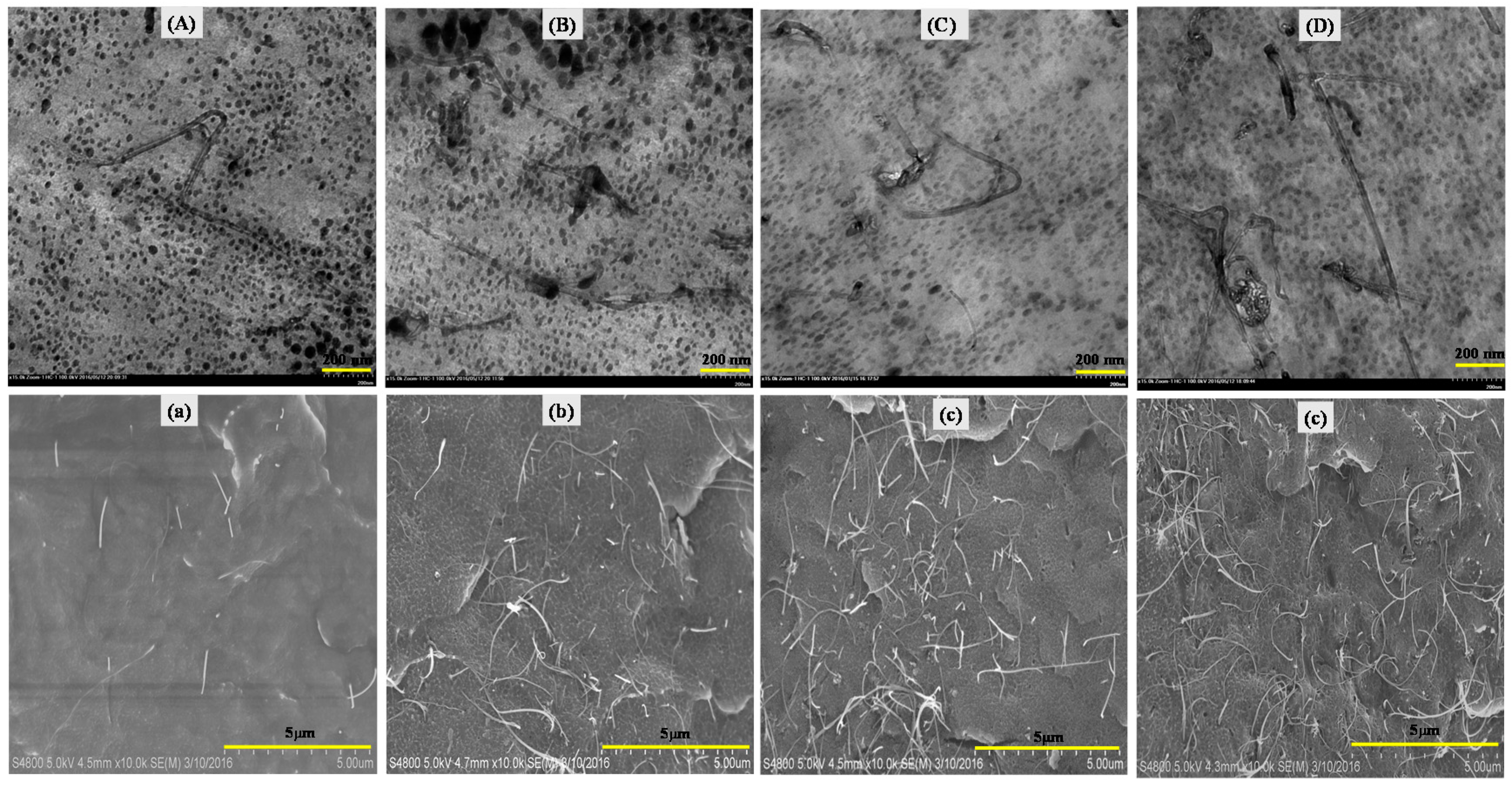 Polymers 09 00562 g004