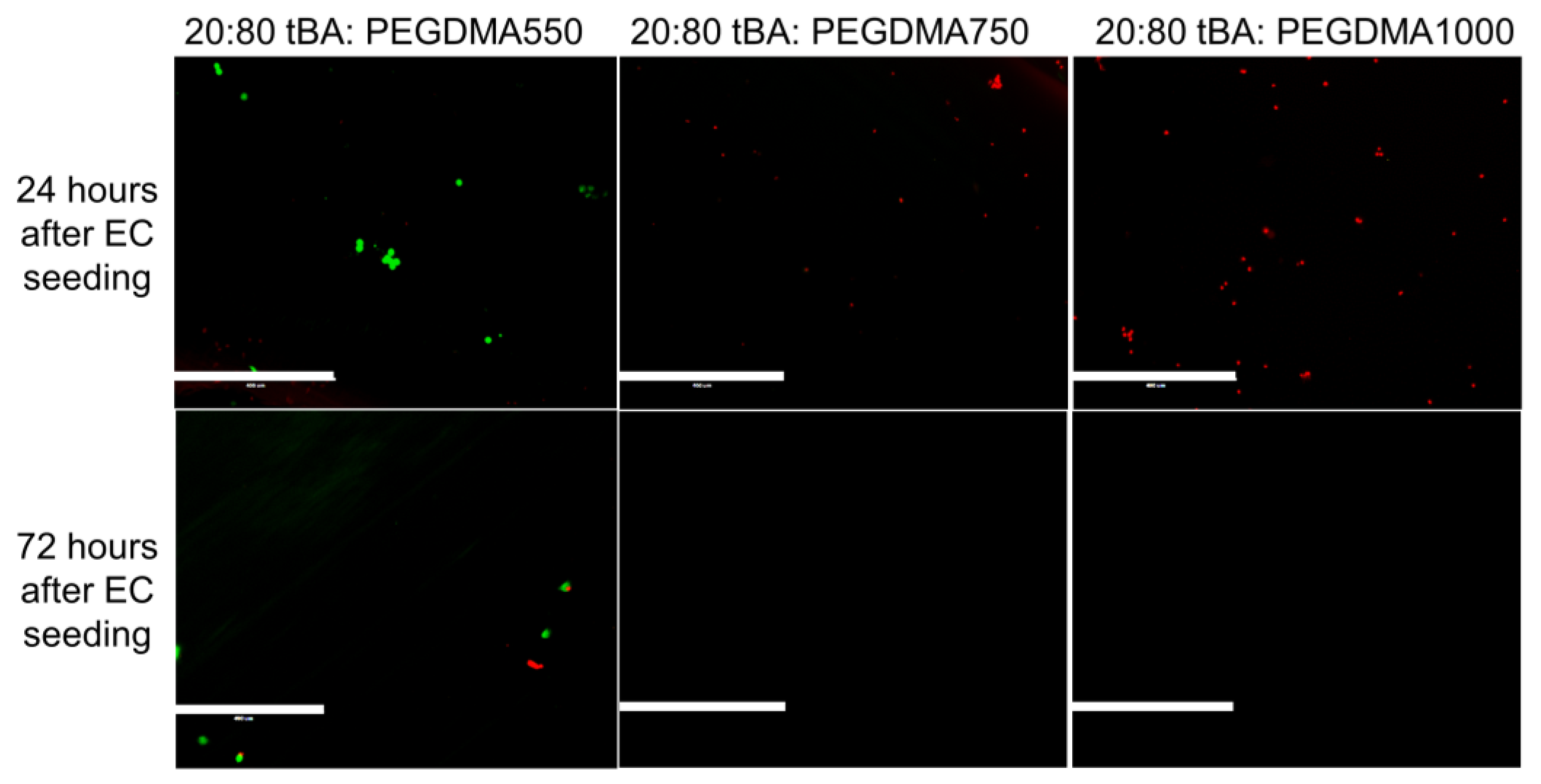 Polymers 09 00572 g005 Polymers 09 00572 g005