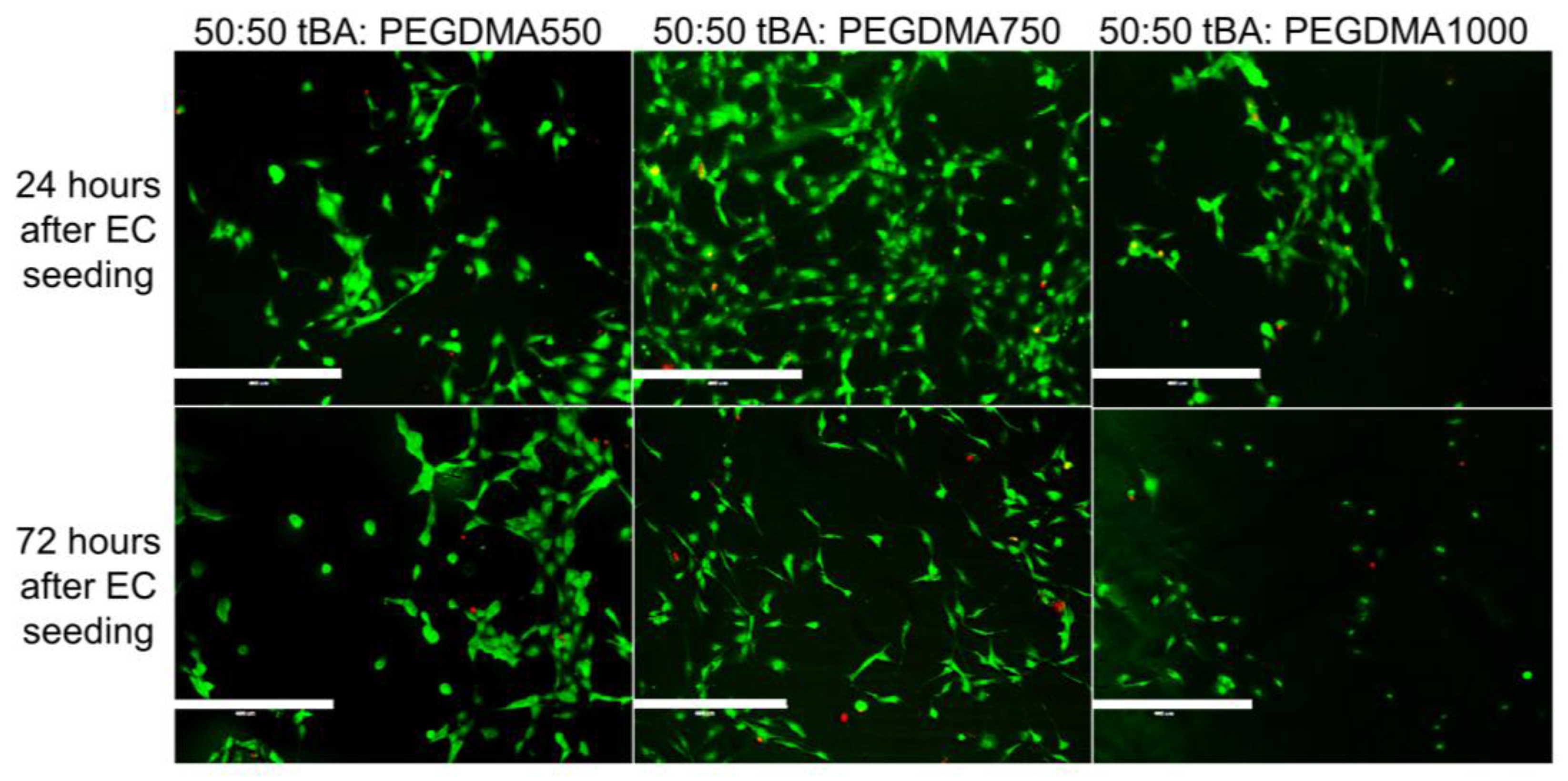 Polymers 09 00572 g006 Polymers 09 00572 g006