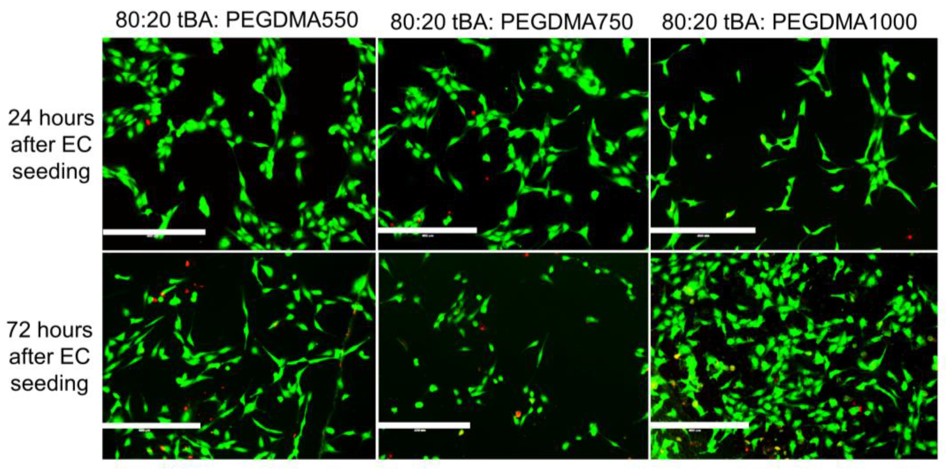 Polymers 09 00572 g007 Polymers 09 00572 g007