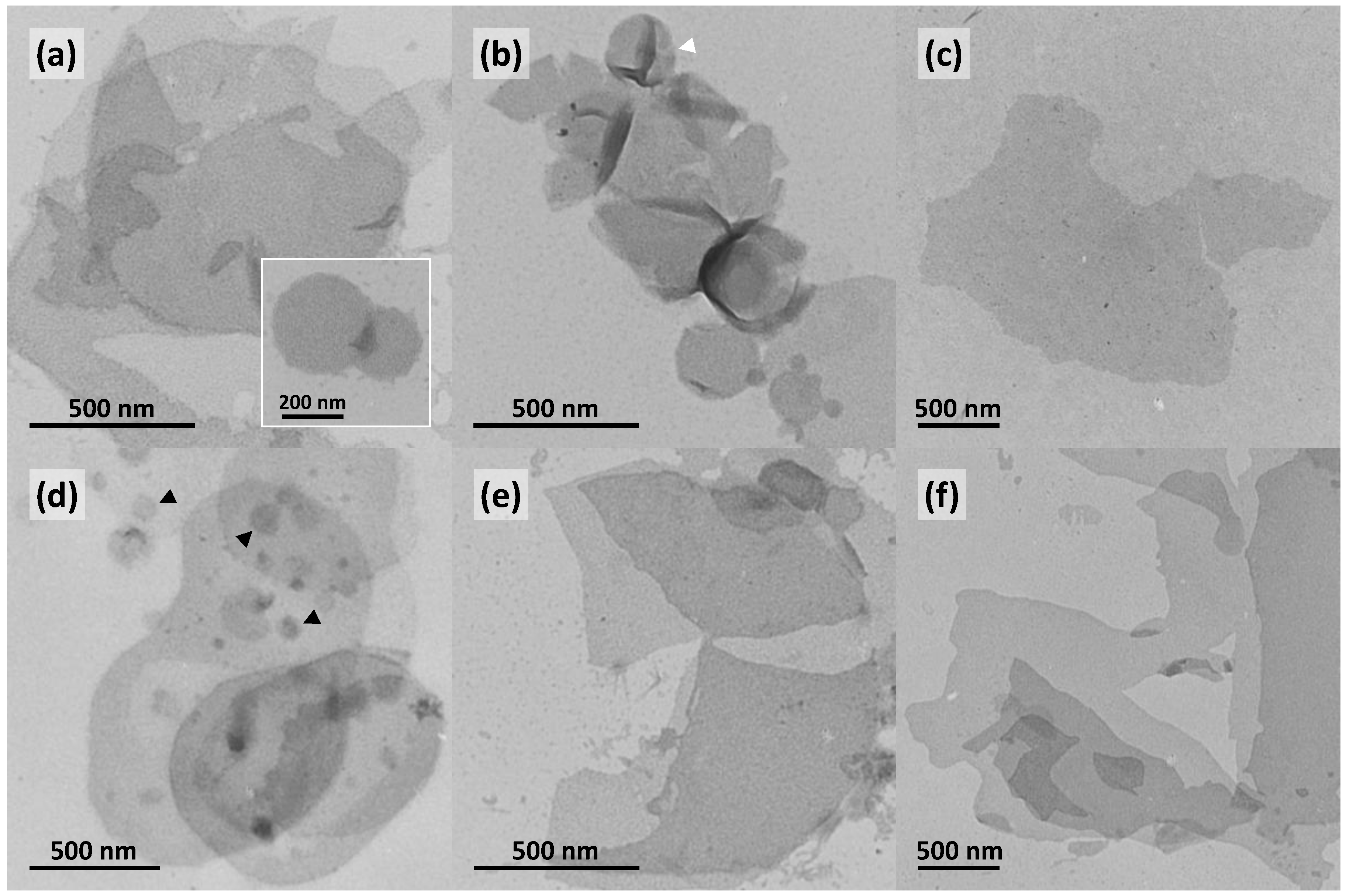 Polymers 09 00573 g008 Polymers 09 00573 g008