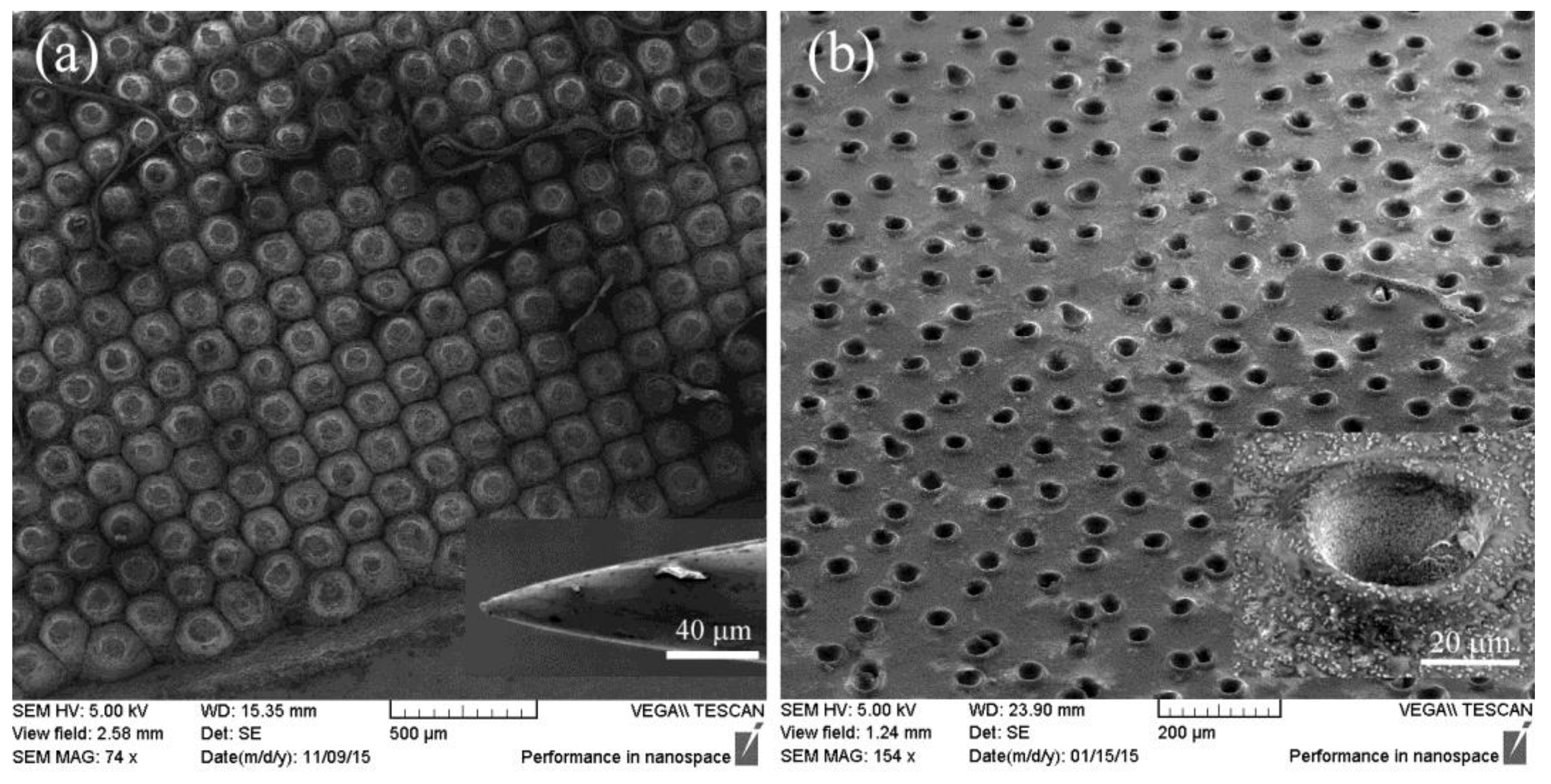 Polymers 09 00574 g003 550