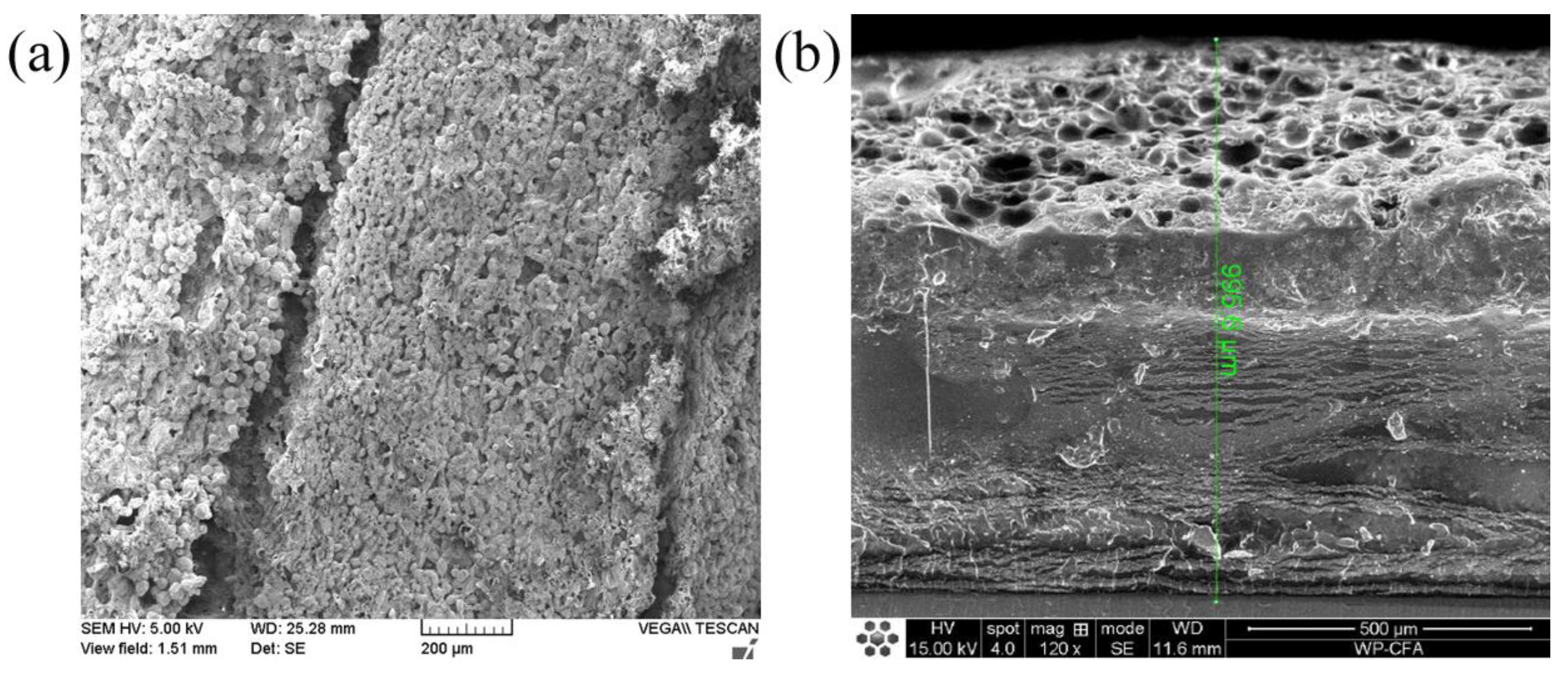 Polymers 09 00574 g006 550