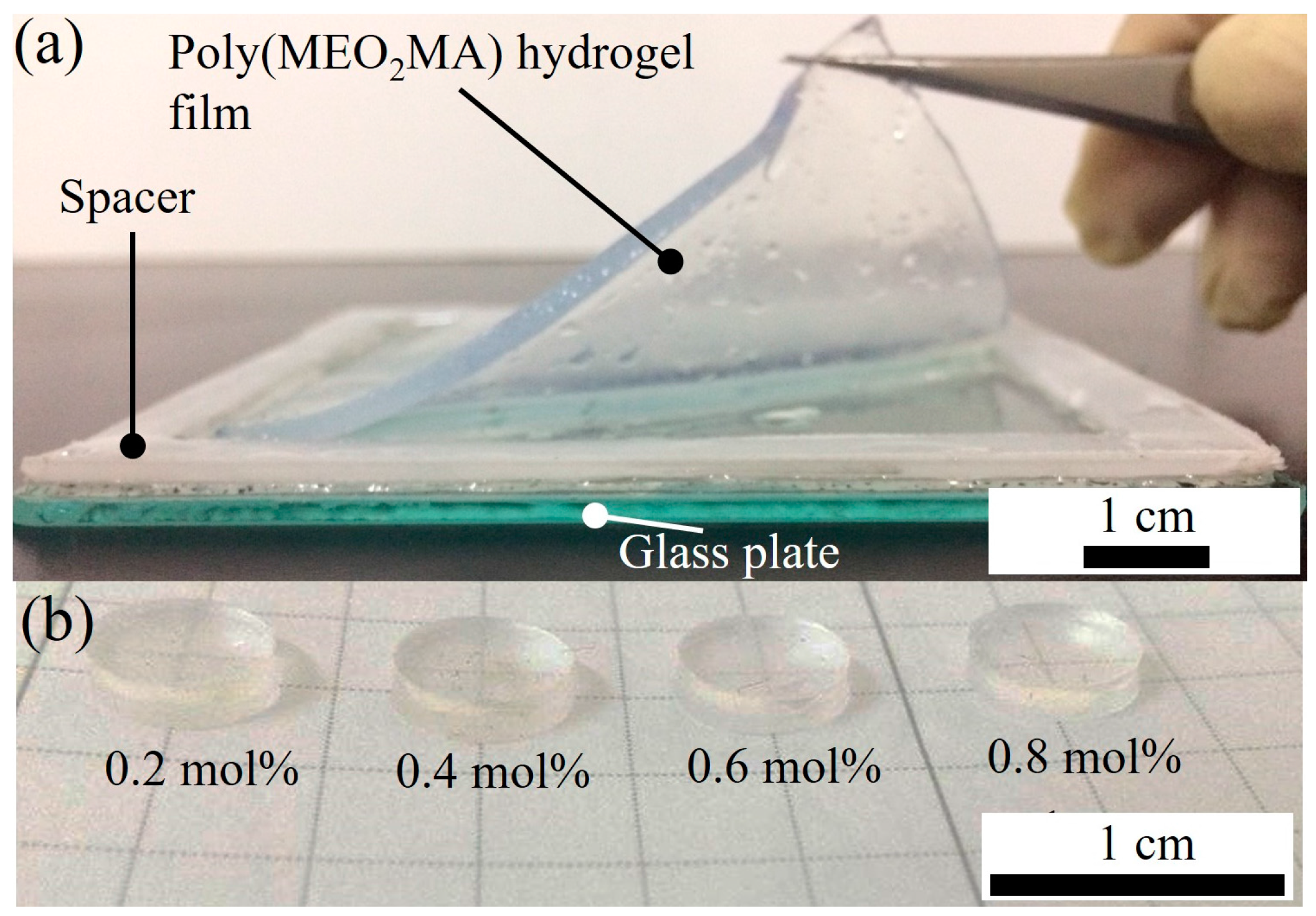 Polymers 09 00579 g004