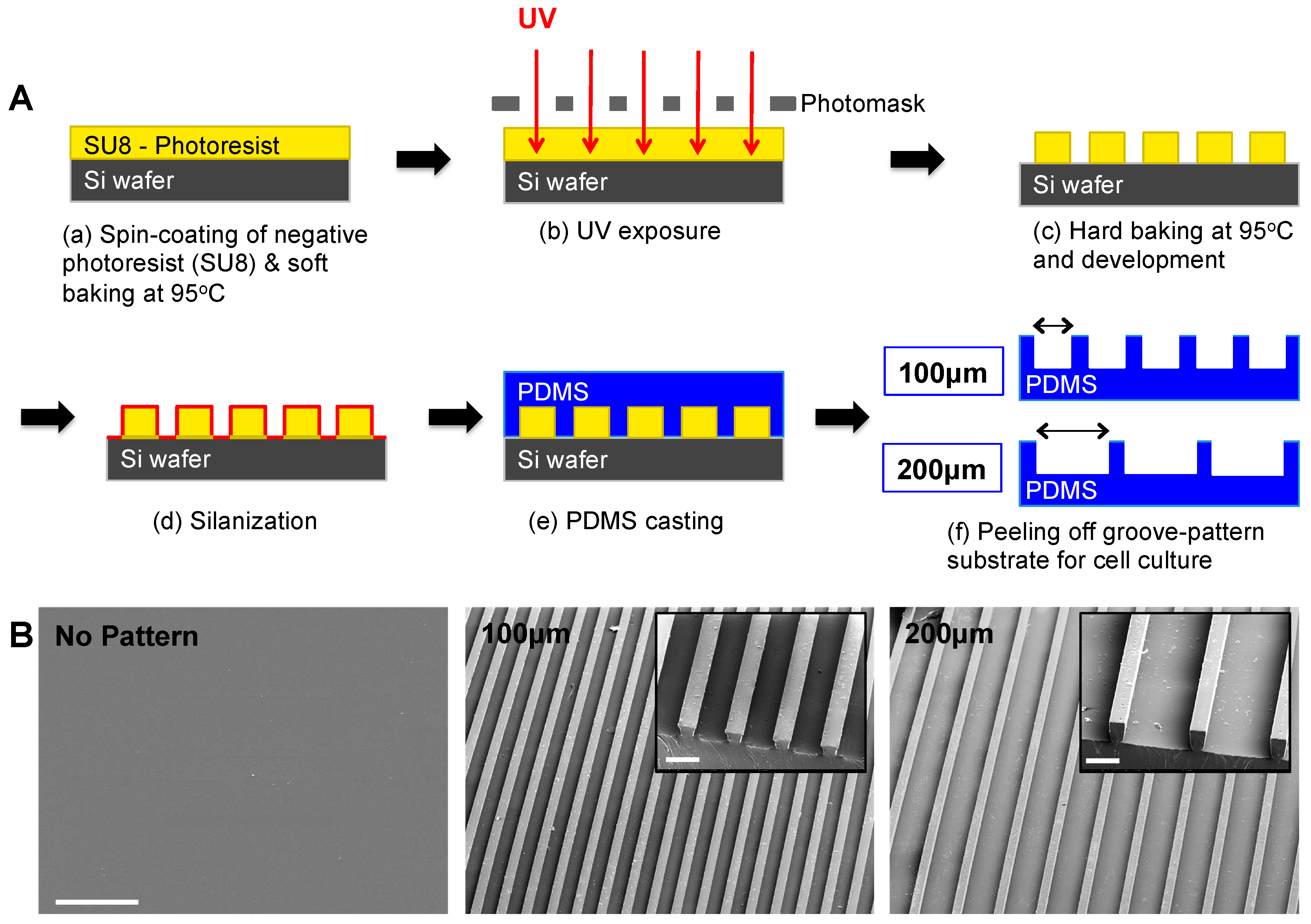 Polymers 09 00580 g001
