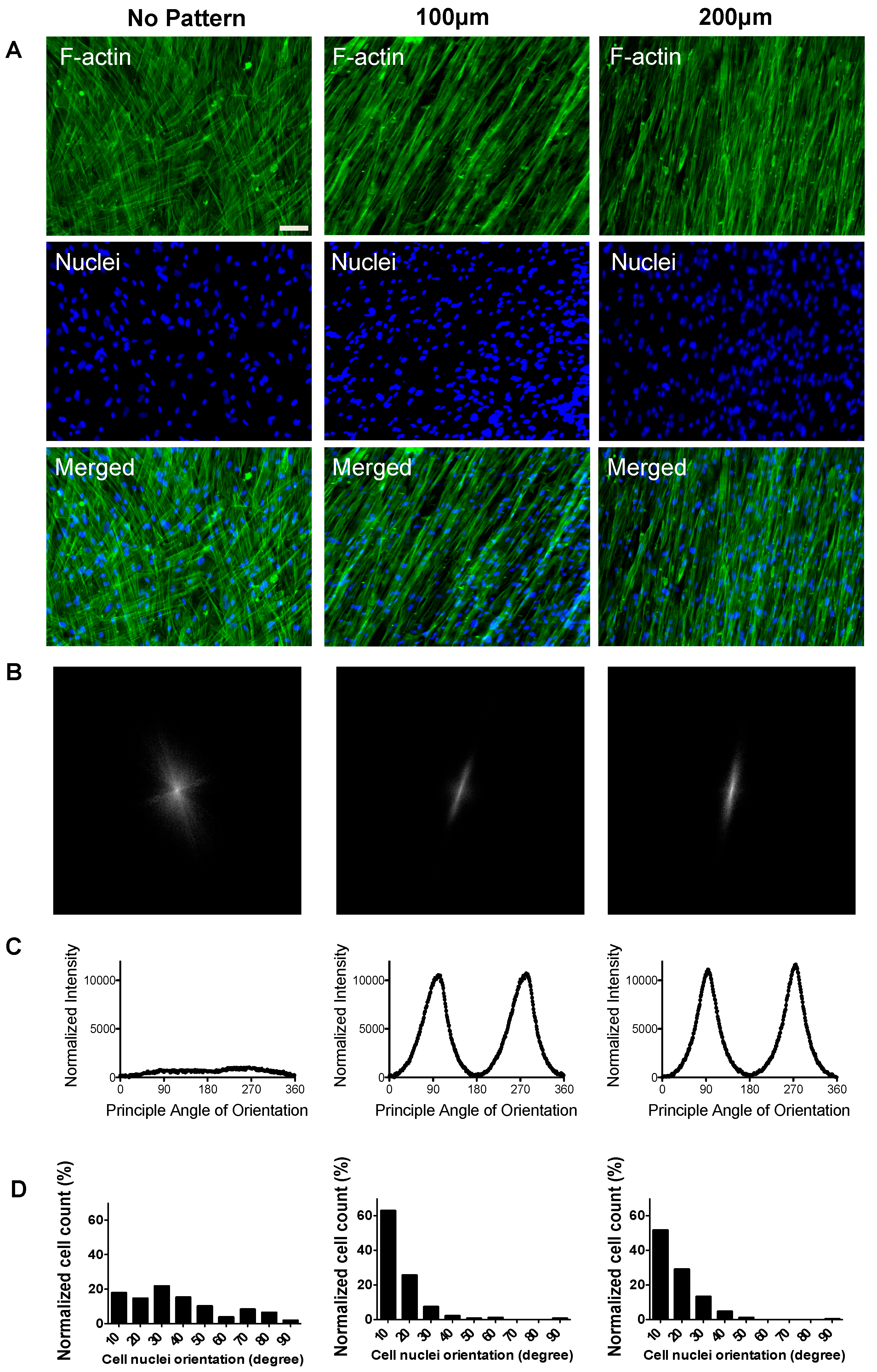 Polymers 09 00580 g003