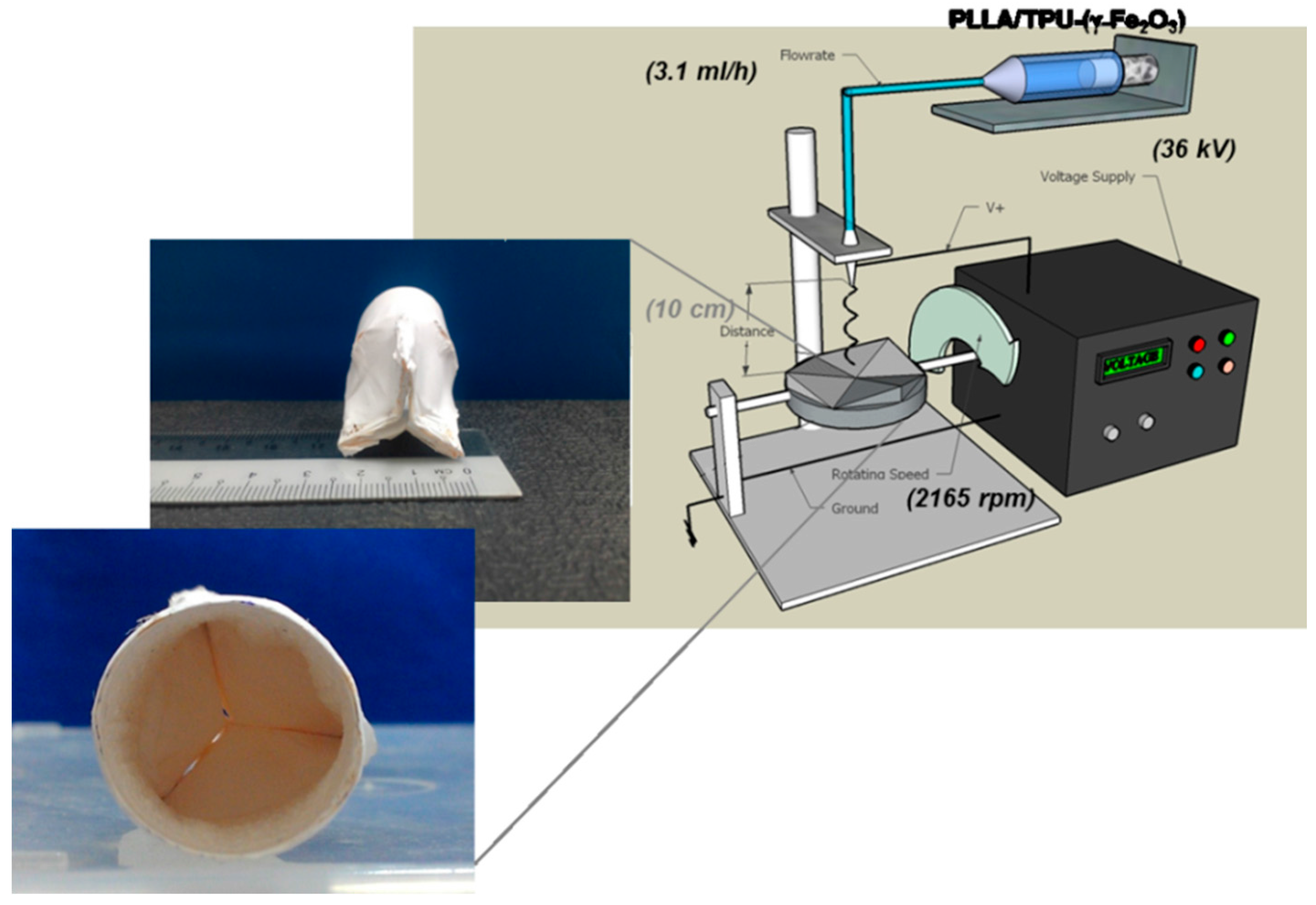 Polymers 09 00584 g005