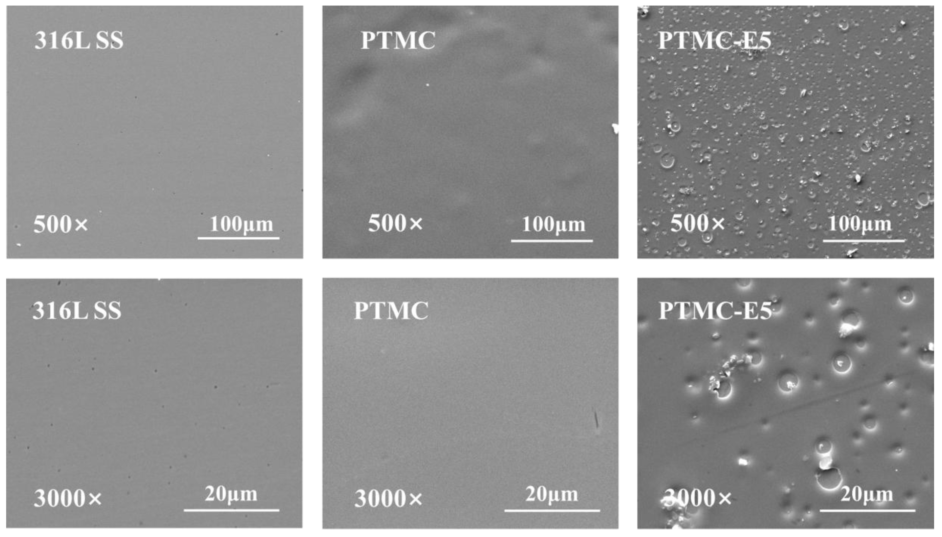 Polymers 09 00598 g002