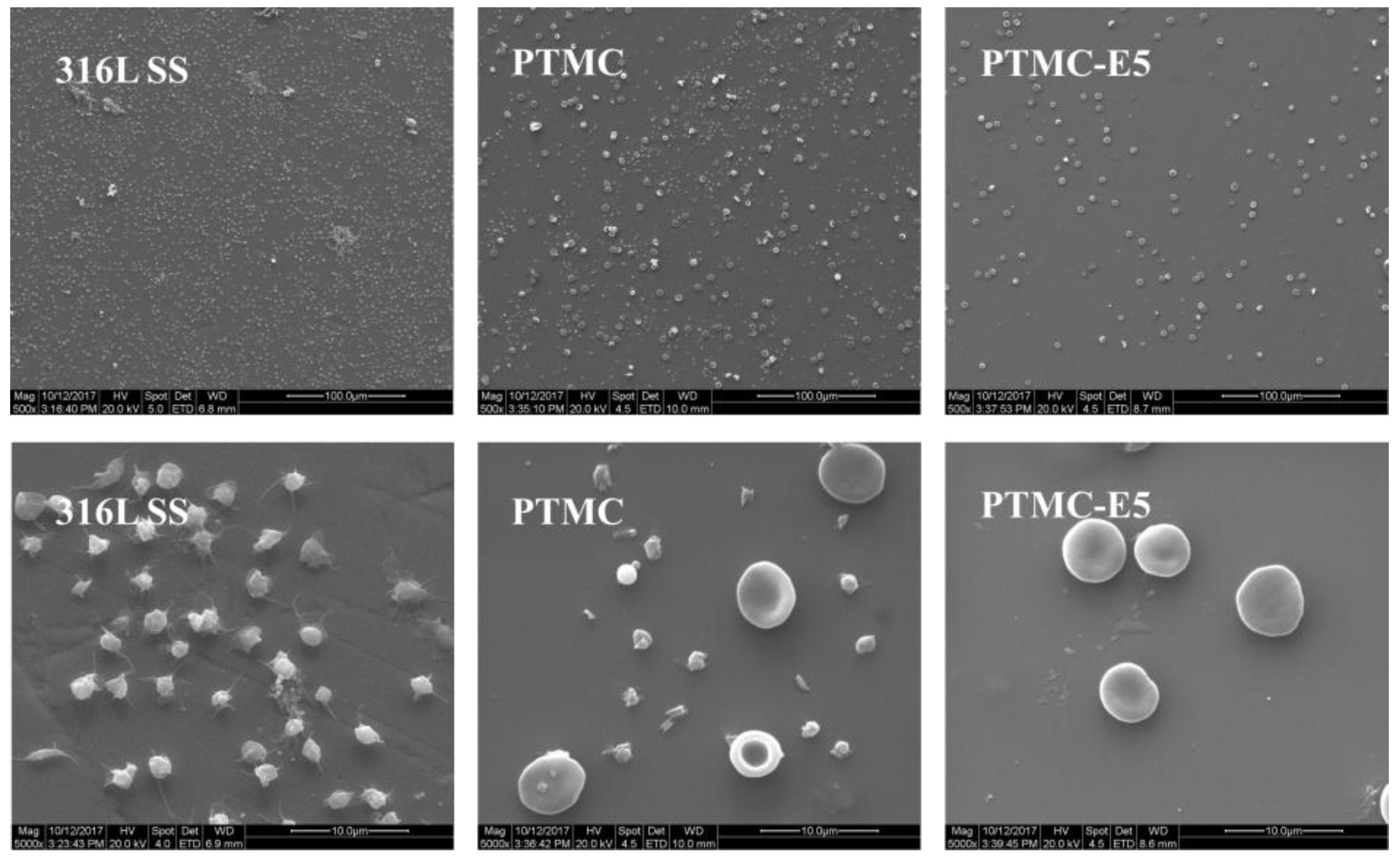 Polymers 09 00598 g006