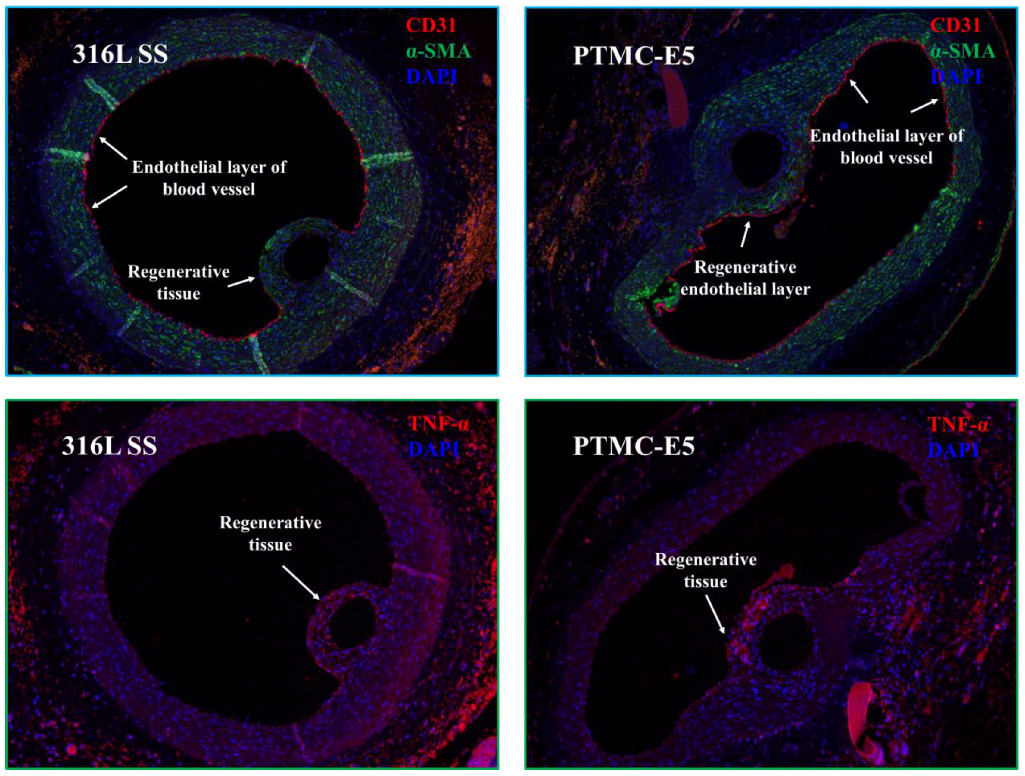Polymers 09 00598 g009