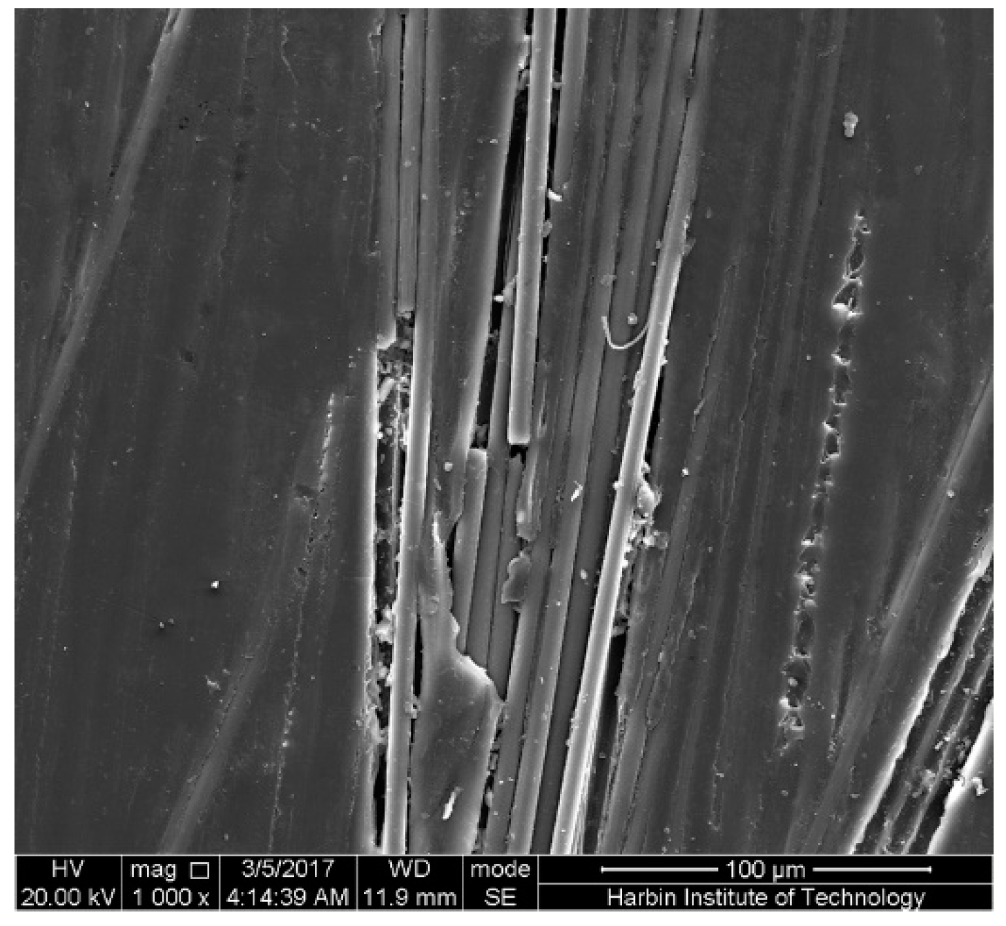 Polymers 09 00603 g016