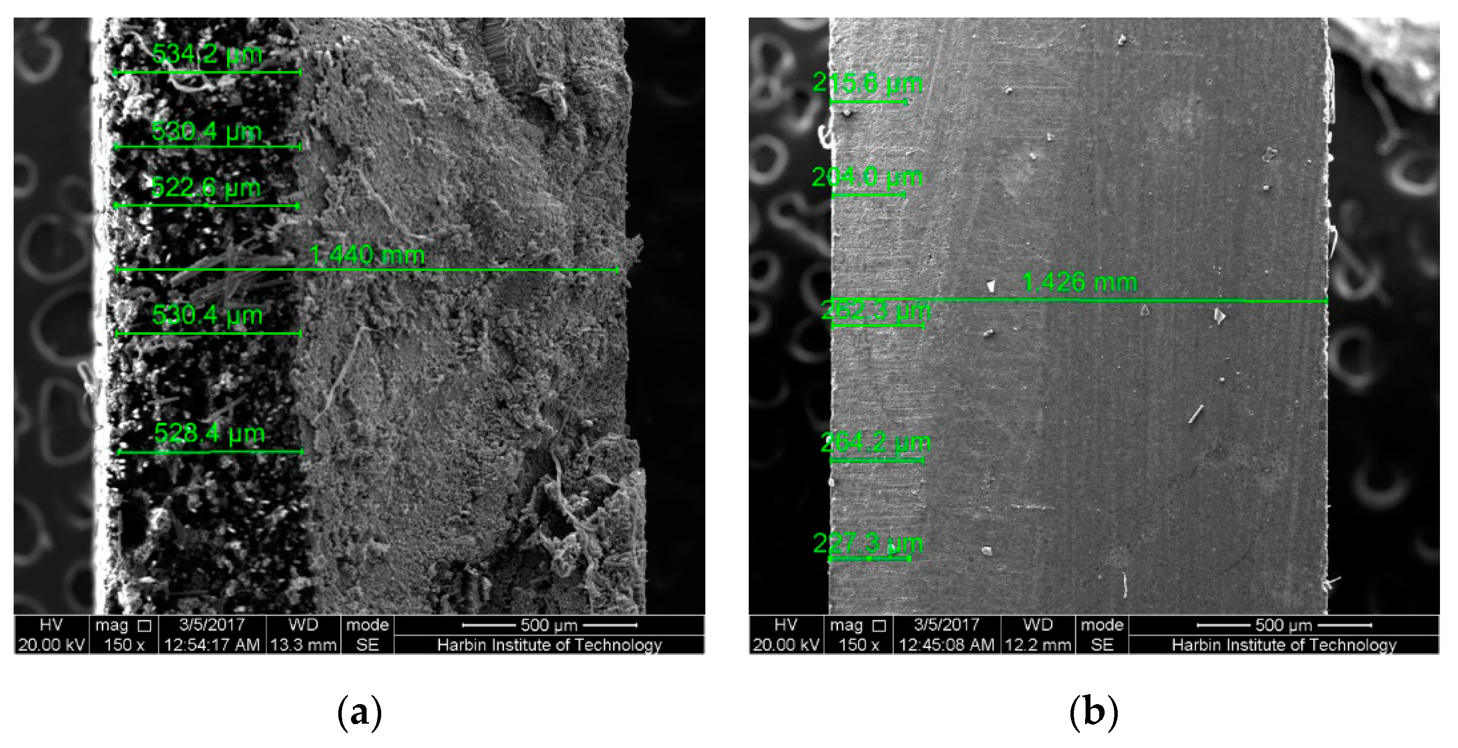 Polymers 09 00603 g018
