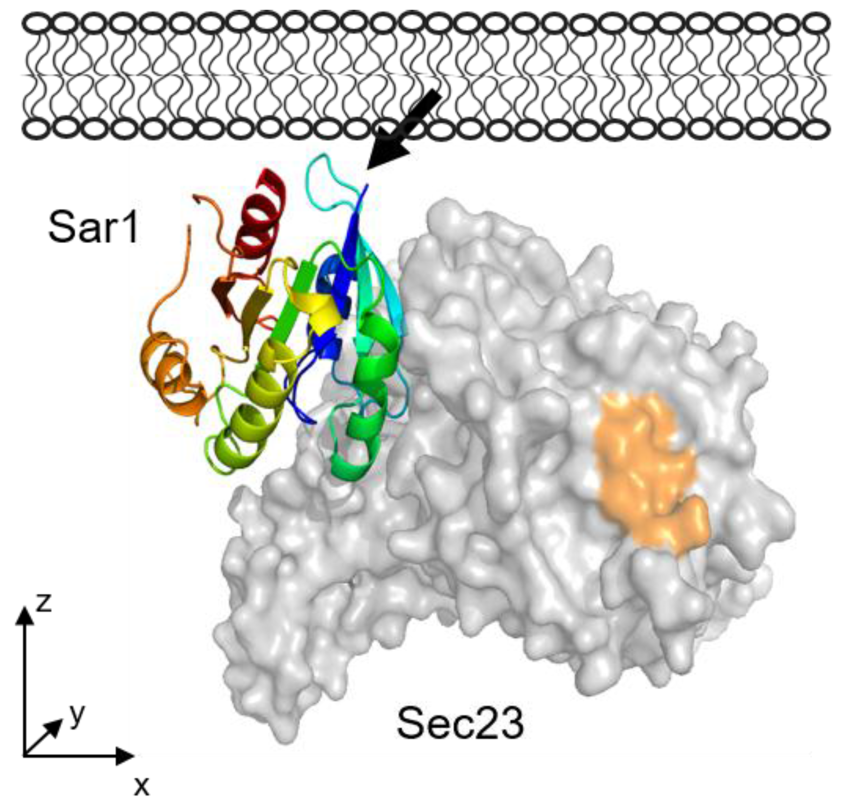Polymers 09 00612 g015 Polymers 09 00612 g015