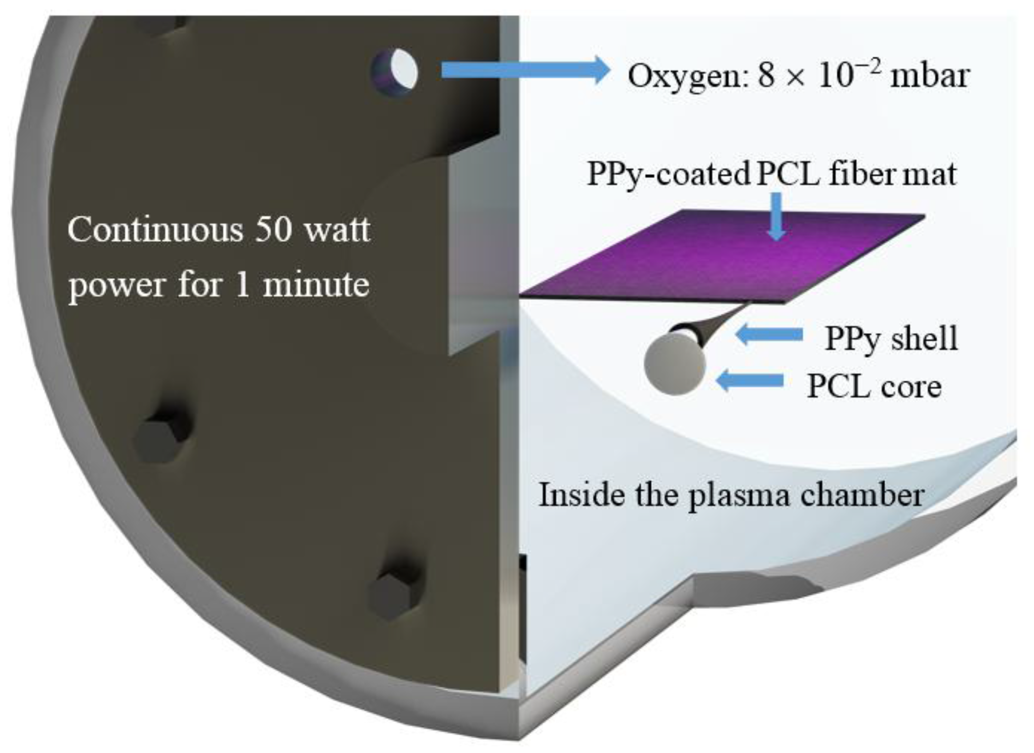 Polymers 09 00614 g001
