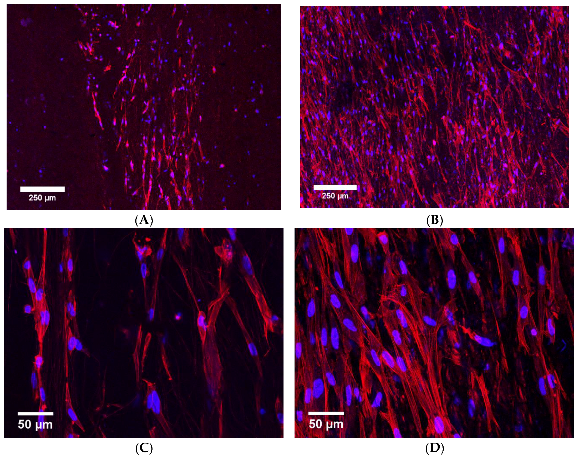 Polymers 09 00614 g007