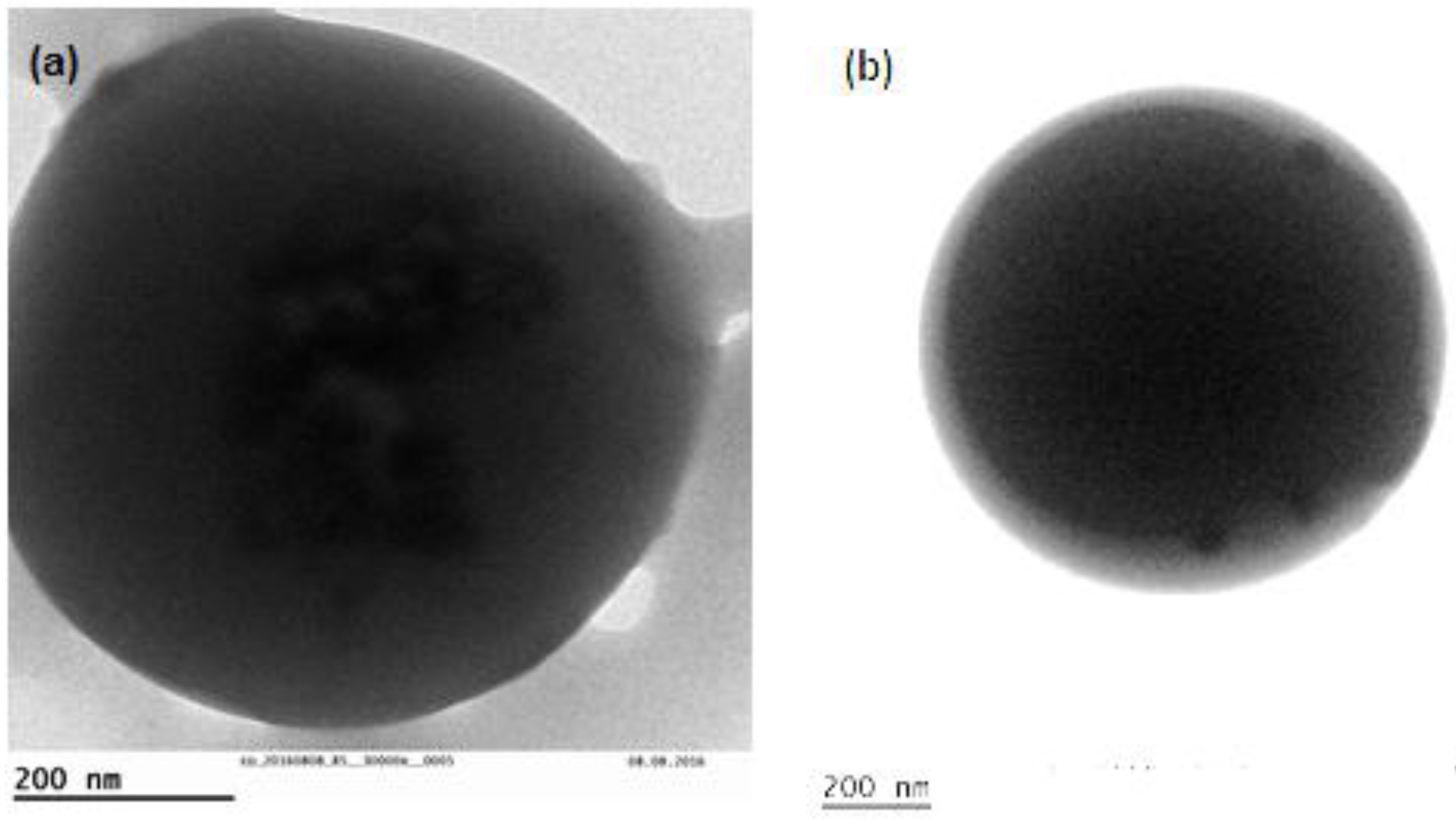 Polymers 09 00617 g007 550