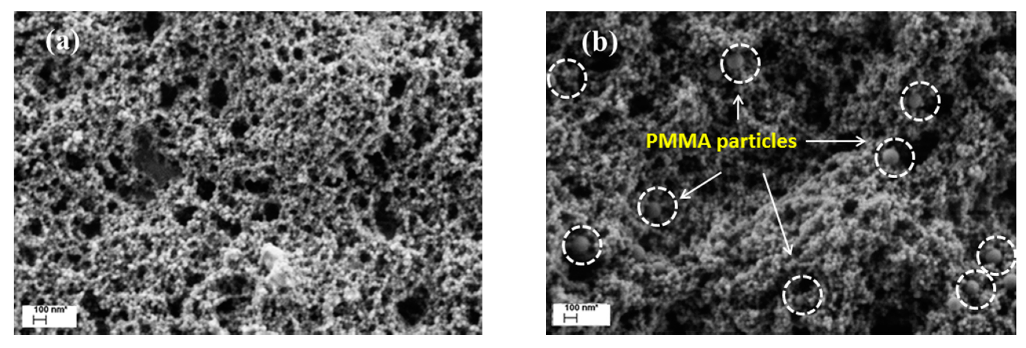 Polymers 09 00619 g004 550