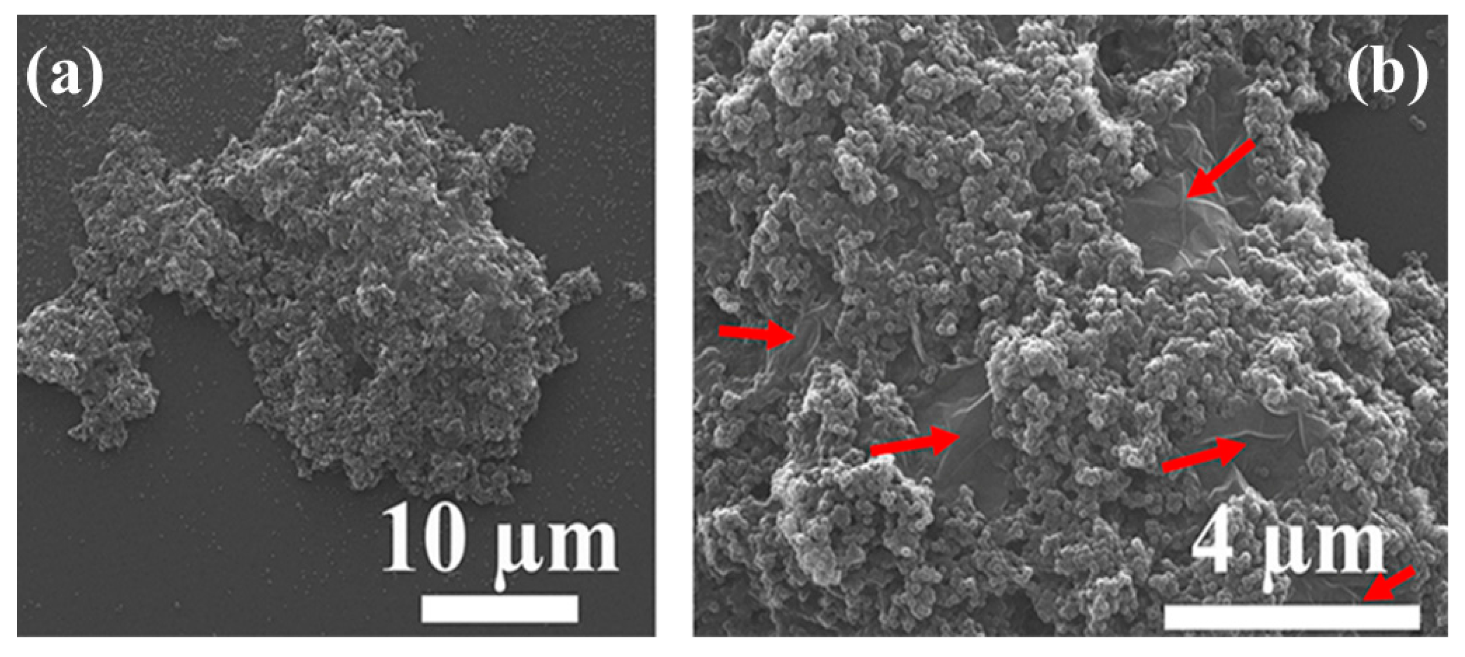 Polymers 09 00619 g006 550