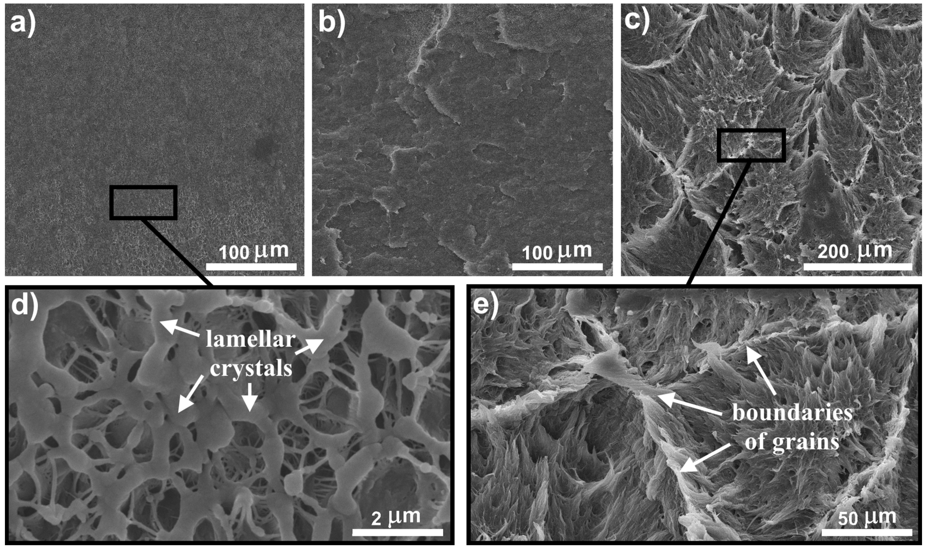 Polymers 09 00629 g001 550