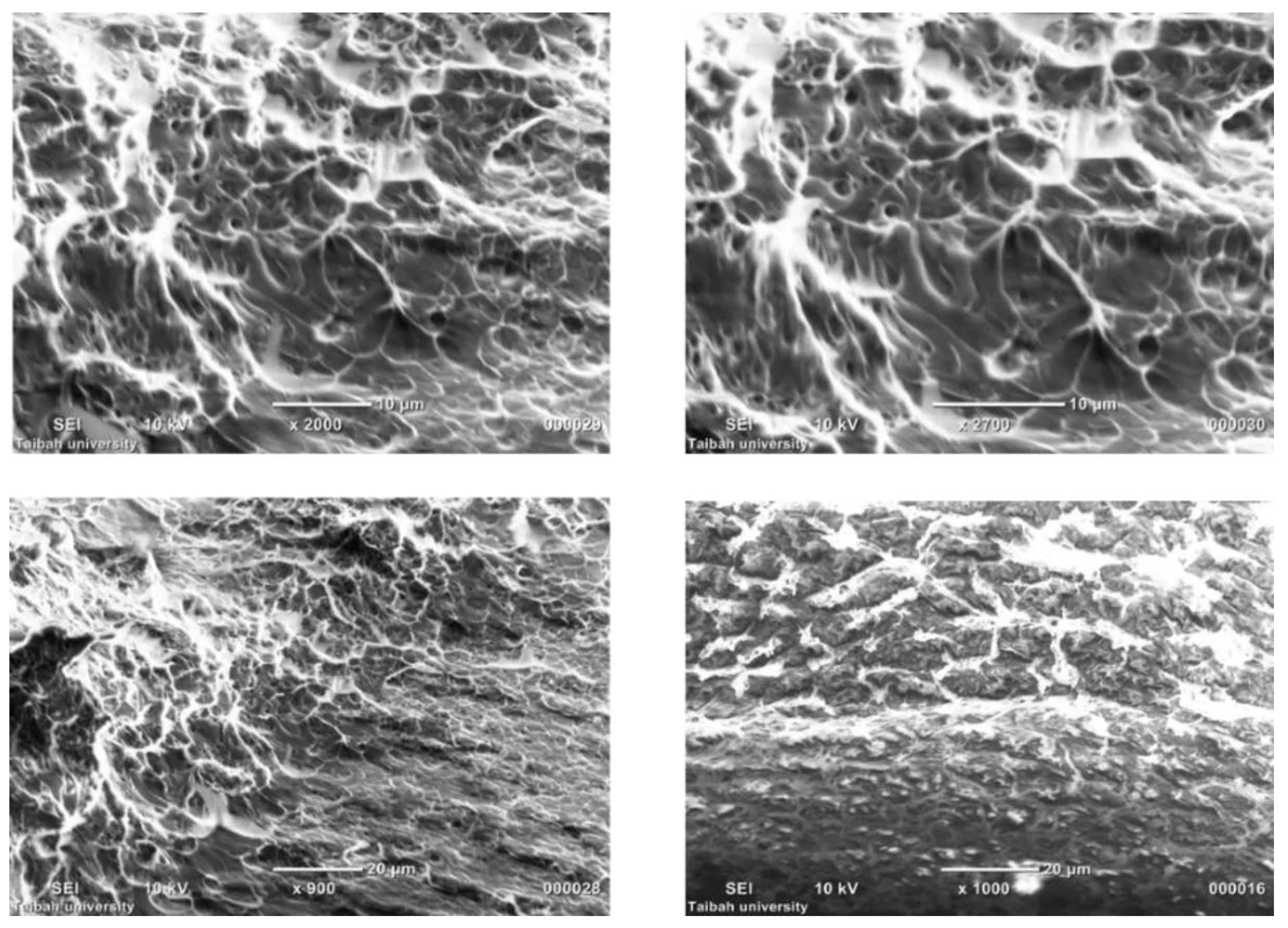 Polymers 09 00630 g004 Polymers 09 00630 g004