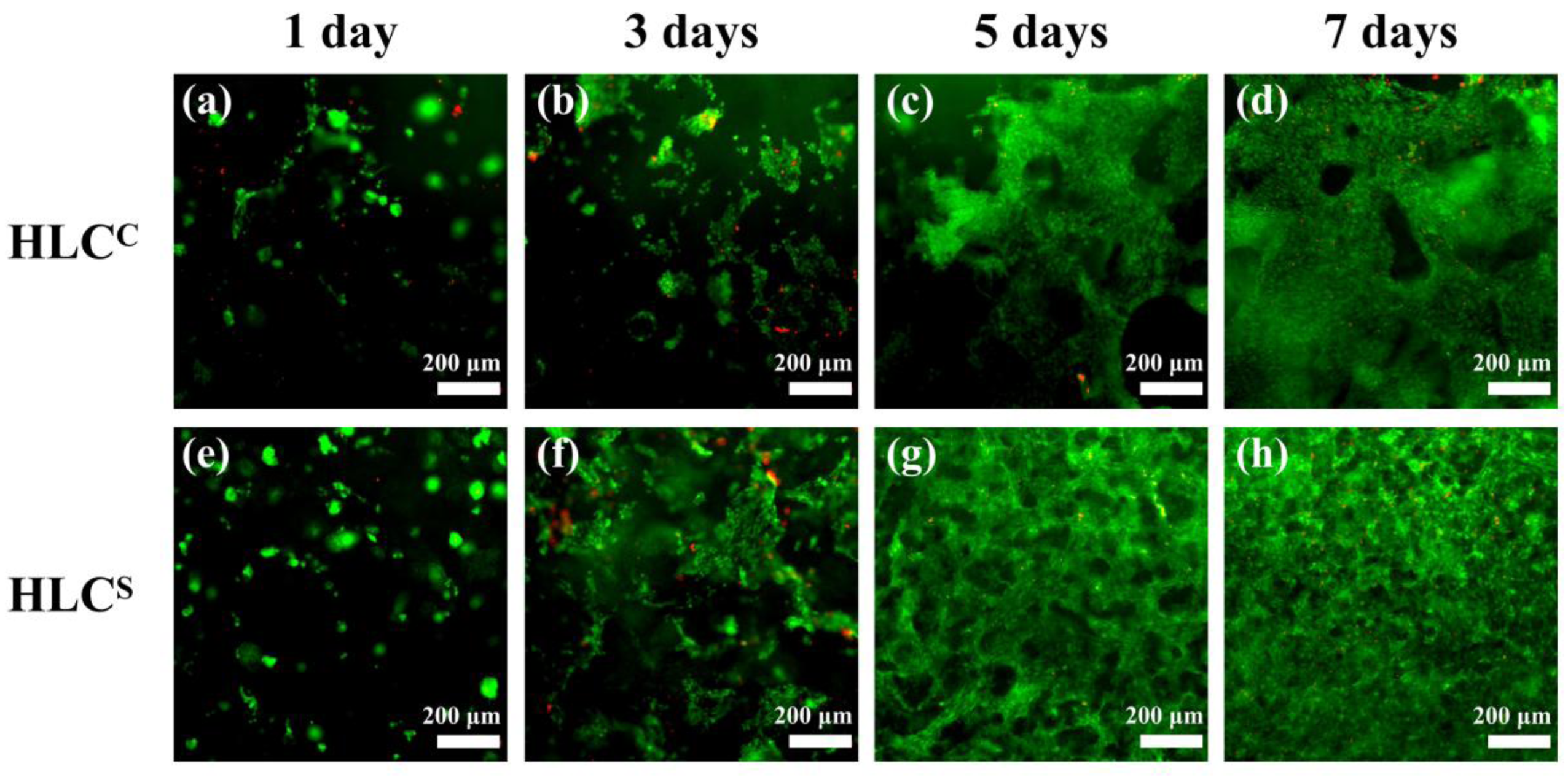 Polymers 09 00638 g009