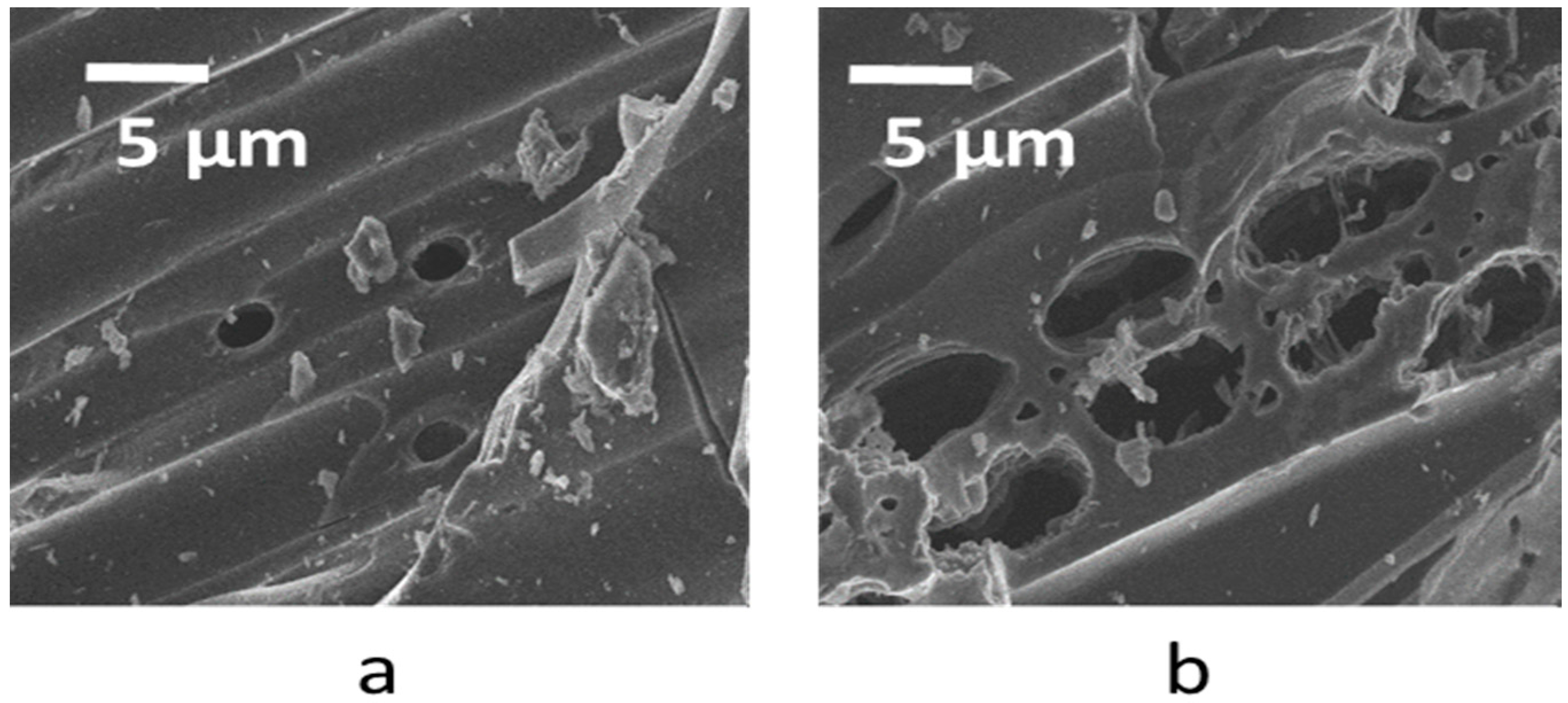 Polymers 09 00642 g001 550