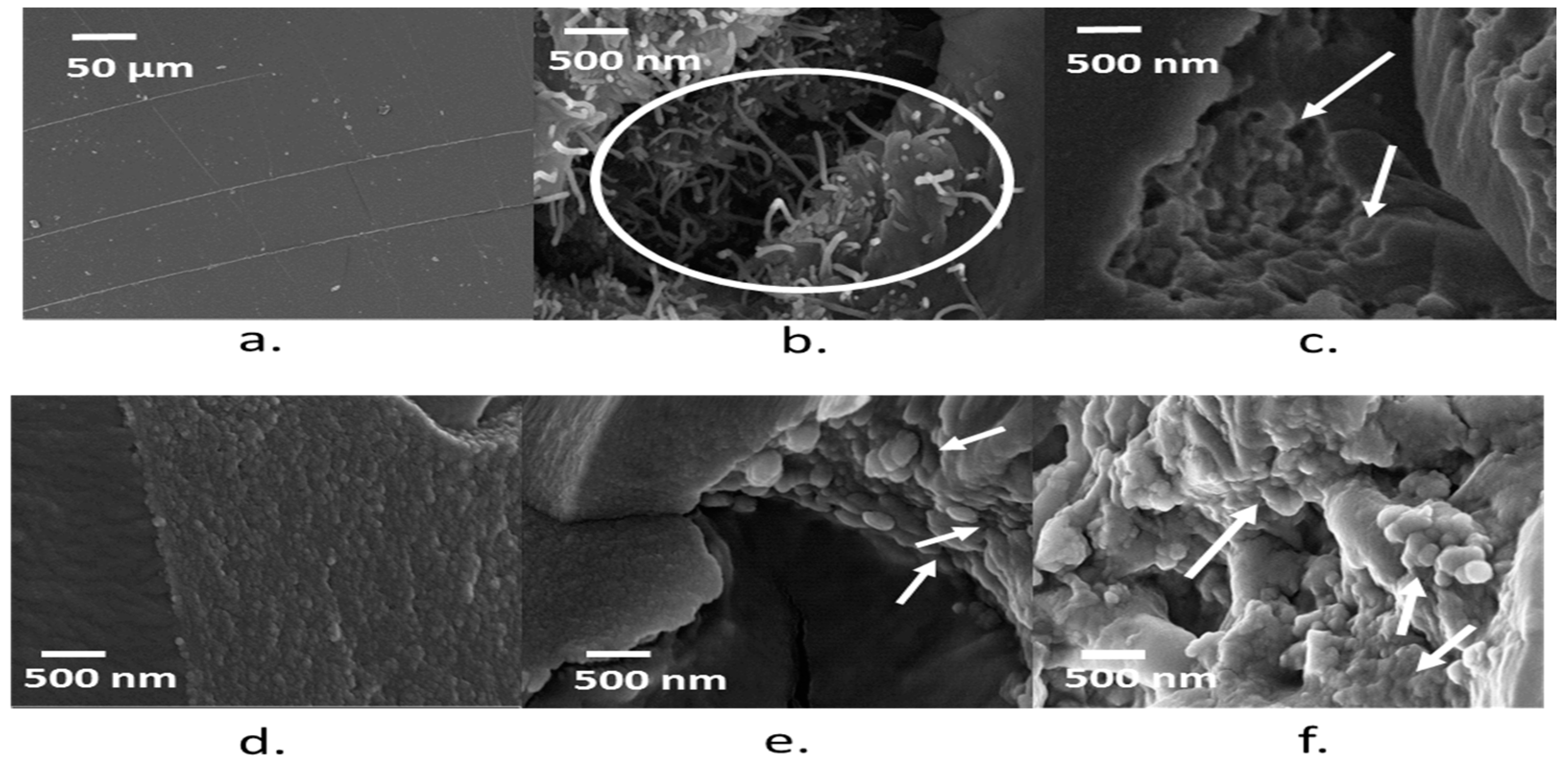 Polymers 09 00642 g005 550