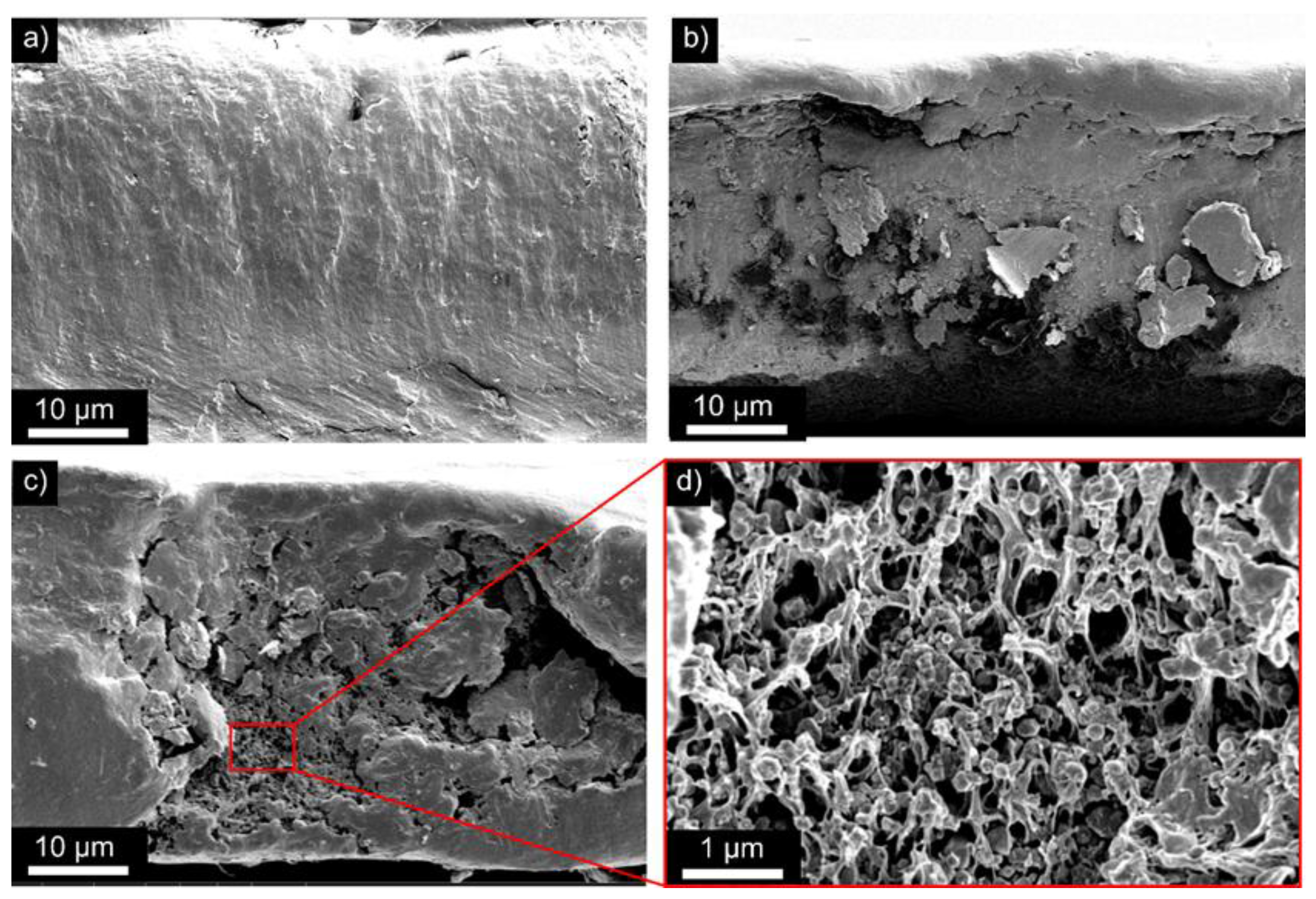 Polymers 09 00650 g002 550
