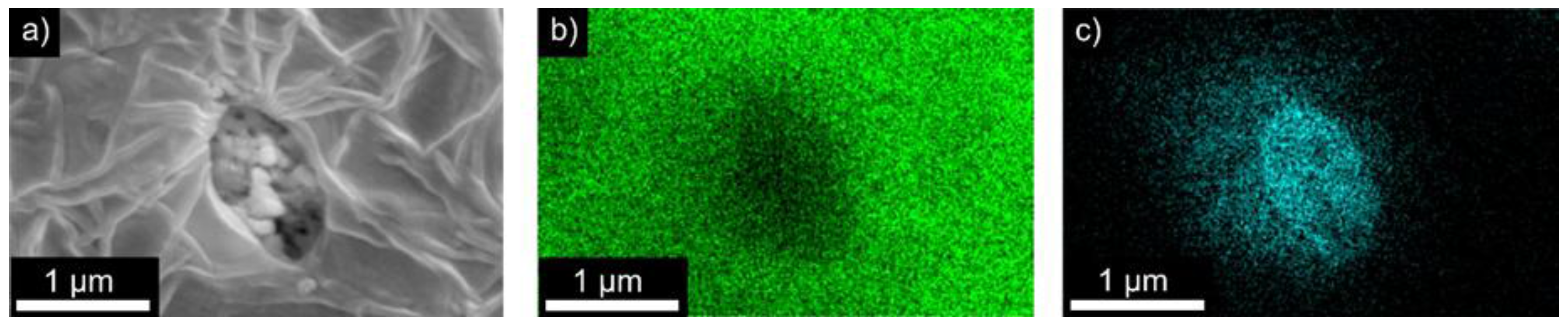 Polymers 09 00650 g003 550