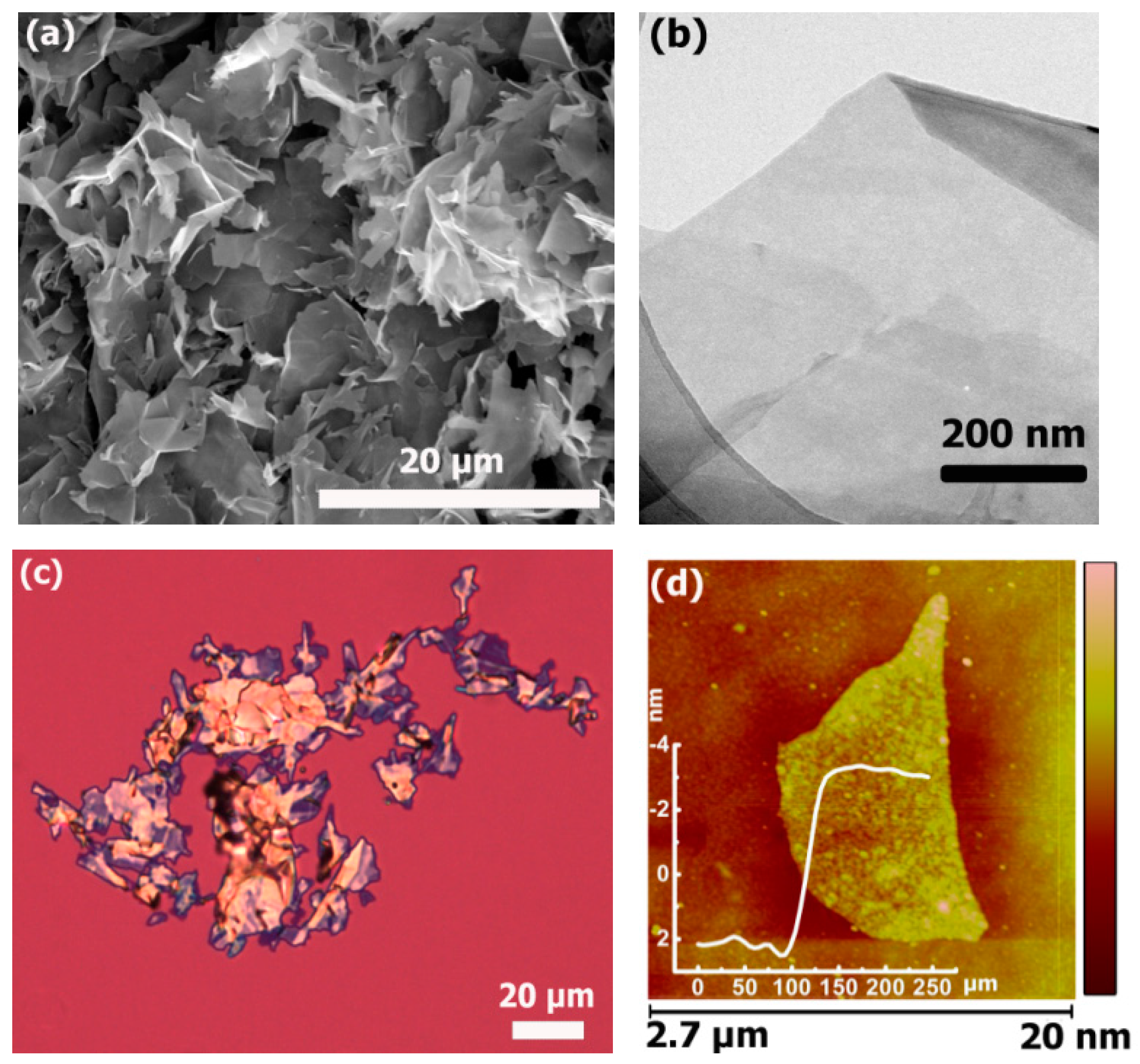 Polymers 09 00662 g001 550